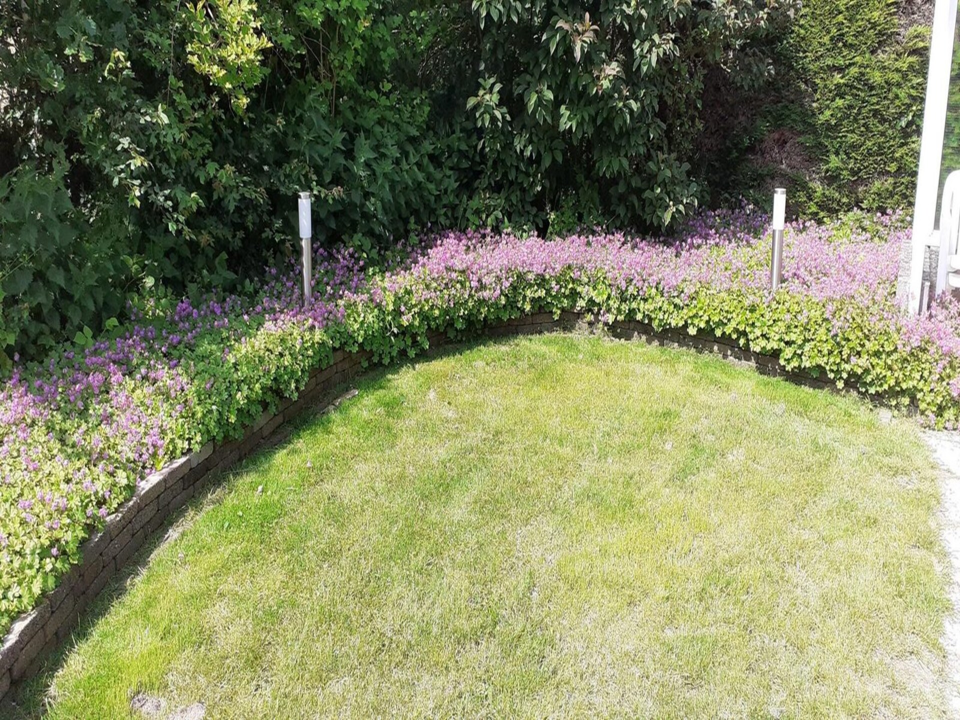 Vrijstaand vakantiehuis aan zee op Bohemien Resort, 6 pers. - foto 18