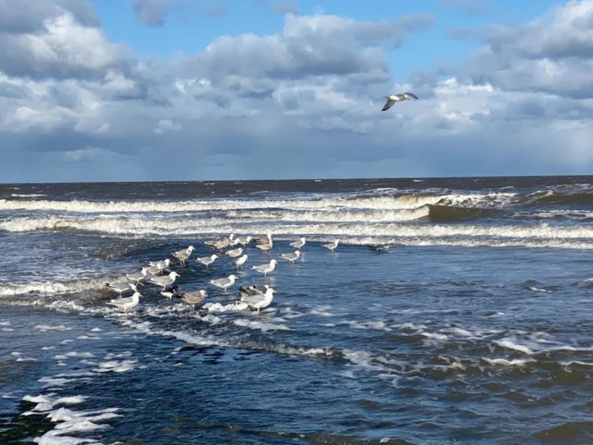 Vrijstaand vakantiehuis Bohemian 38, 700m van strand Sint Maartenszee - foto 32