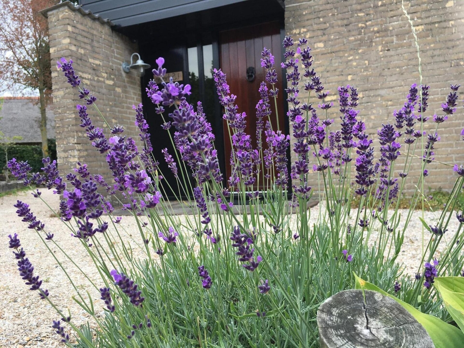 Vrijstaande bungalow De Schelp 7 met privacyvolle tuin in Sint Maartenszee - foto 30