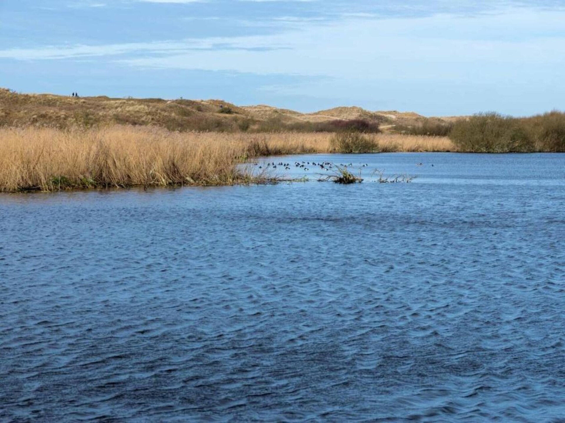 Vrijstaande bungalow De Schelp 21 bij speeltuin in Sint Maartenszee - foto 26