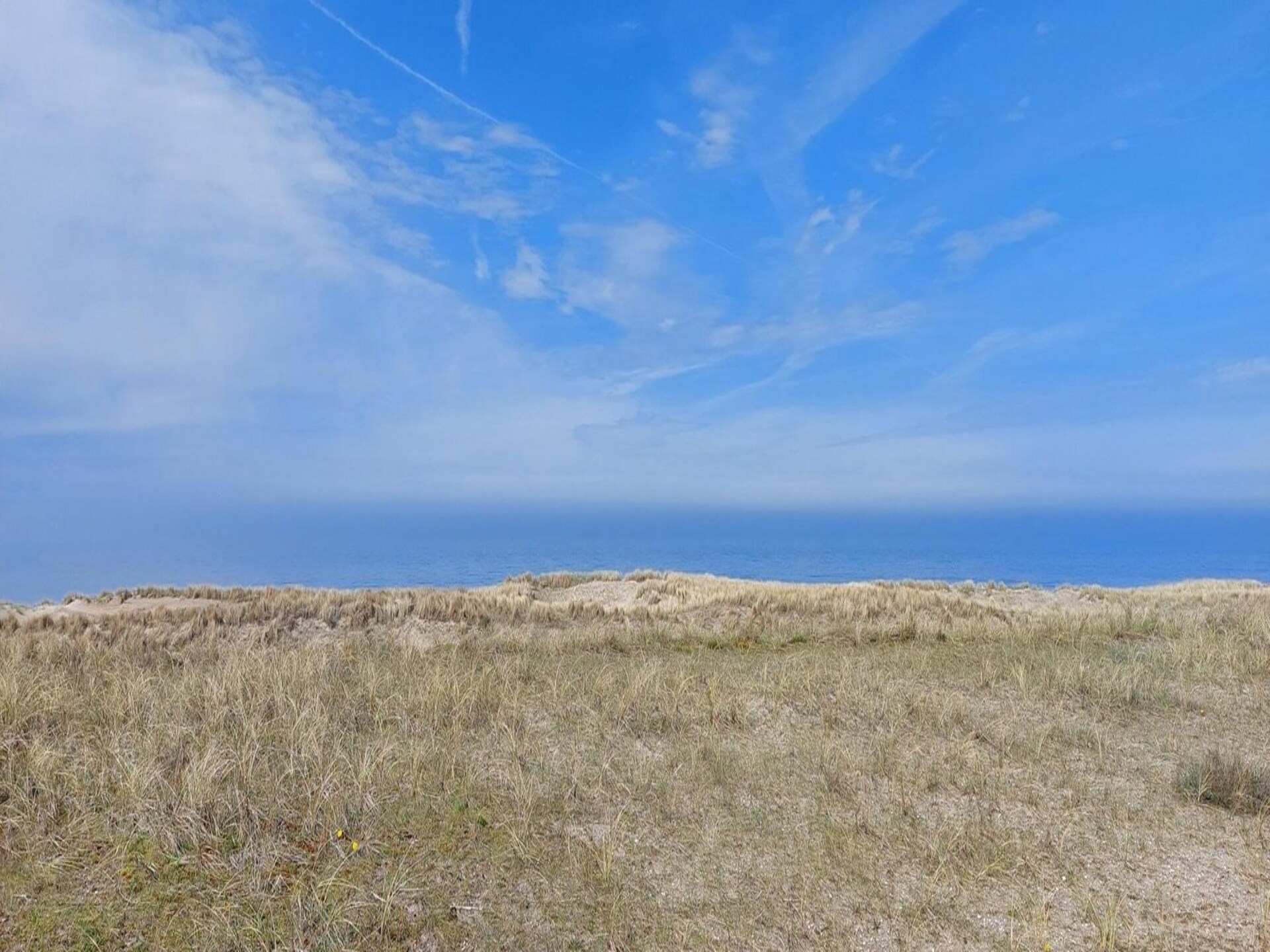 Gezellige vrijstaande bungalow Eureka 13 aan de Noord-Hollandse kust - foto 15
