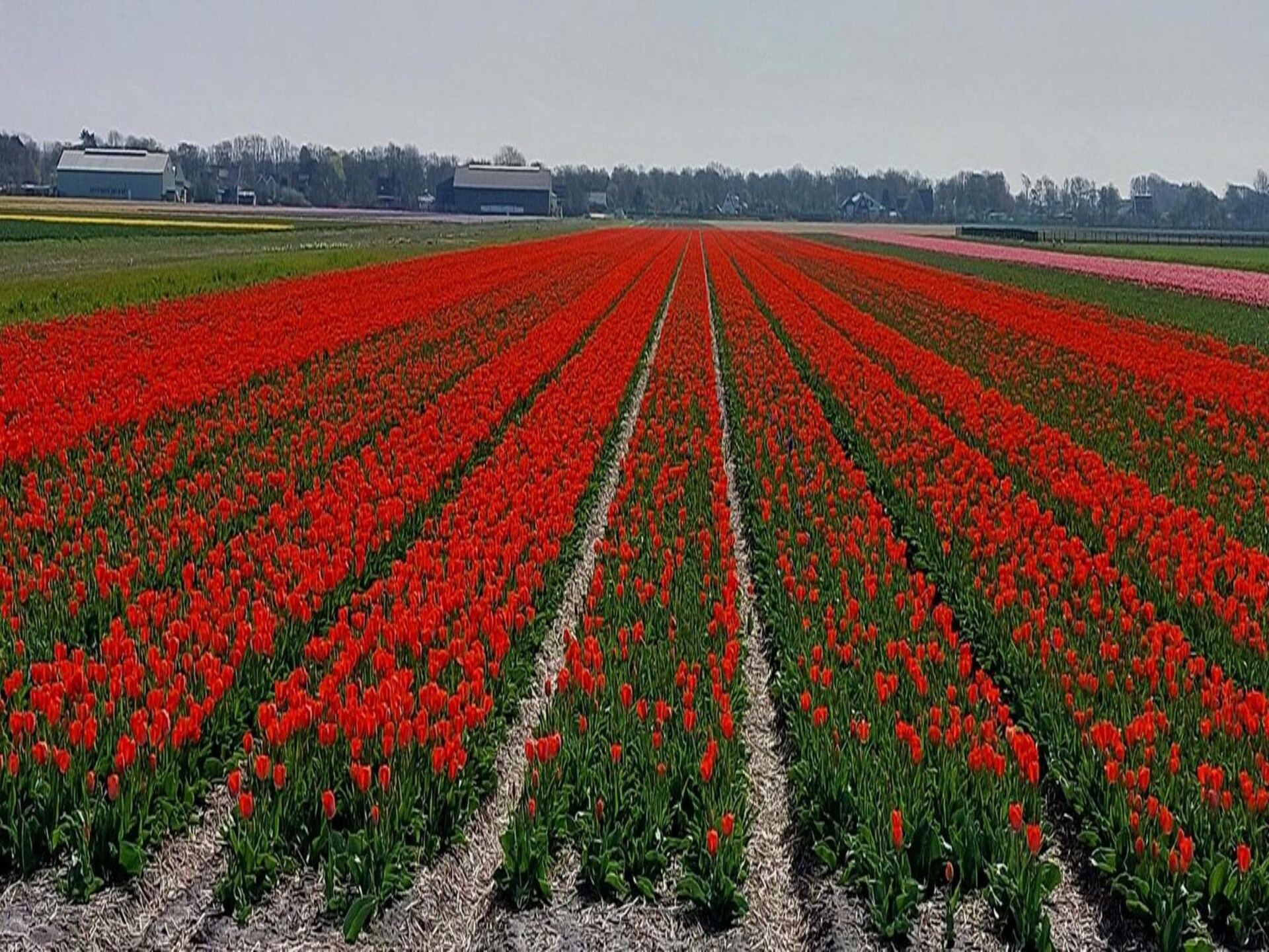Gezellige vrijstaande bungalow Eureka 13 aan de Noord-Hollandse kust - foto 17