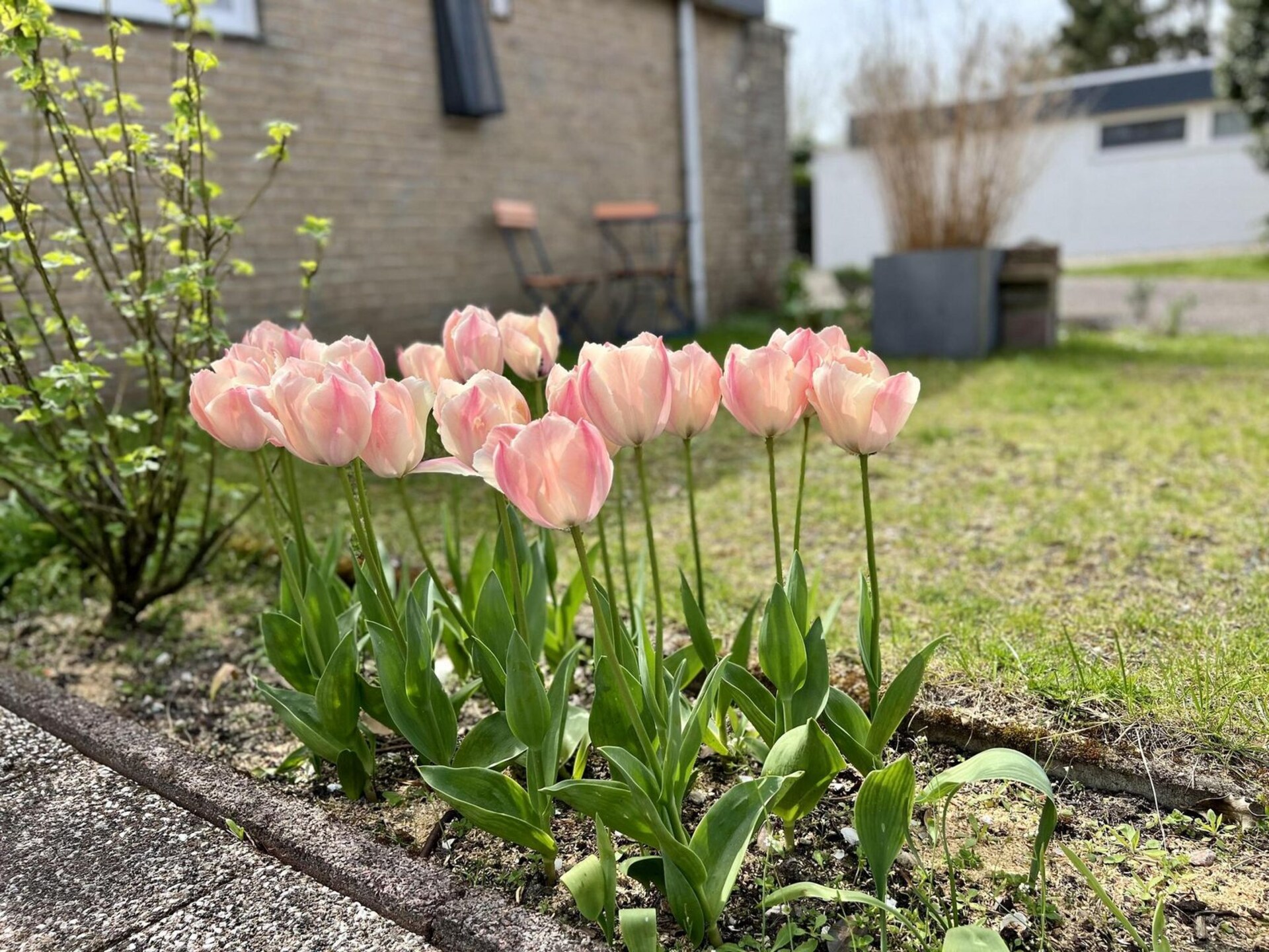 Gezellige vakantiebungalow De Schelp 27 in Sint Maartenszee - foto 14