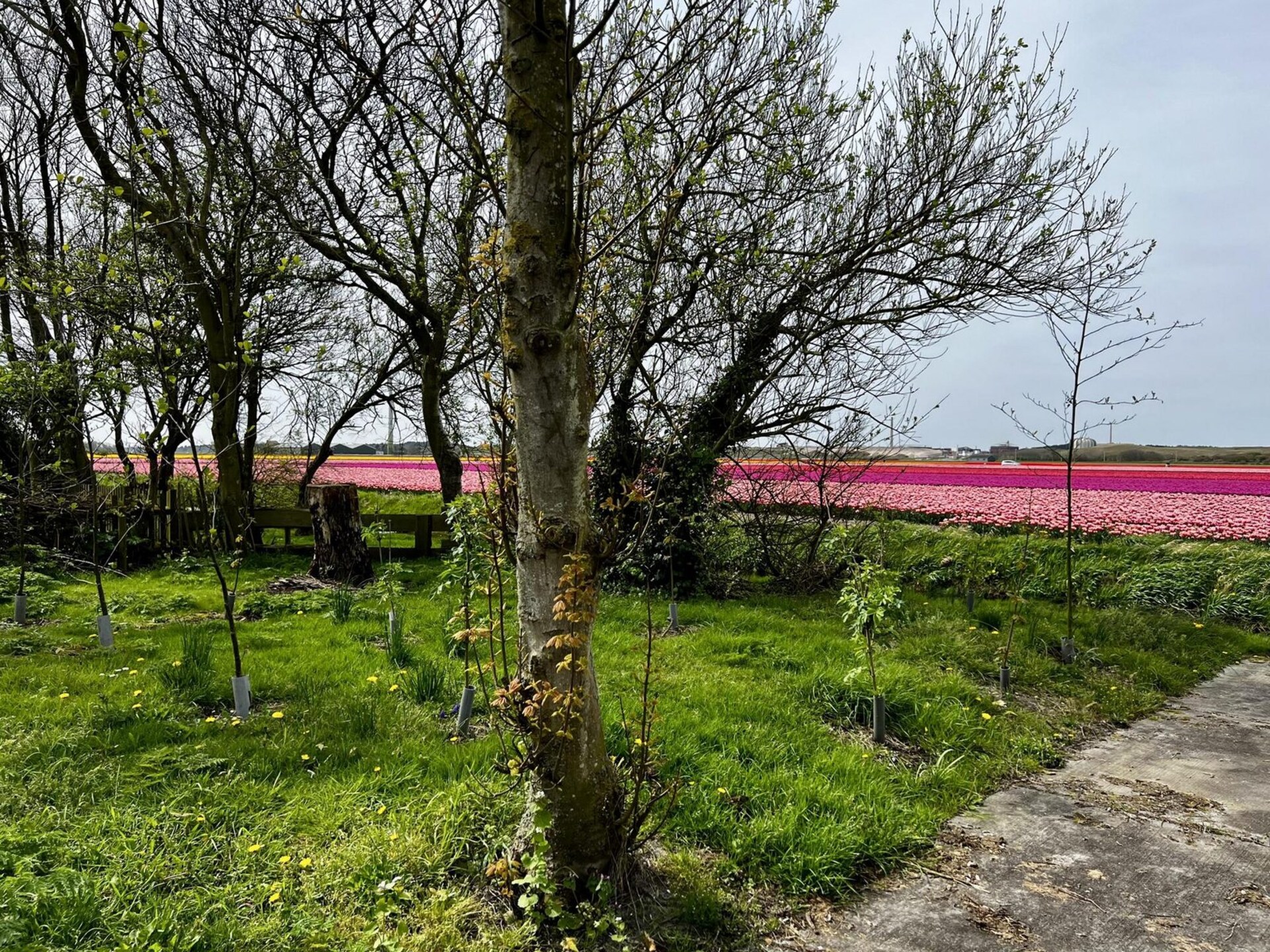 Gezellige vakantiebungalow De Schelp 27 in Sint Maartenszee - foto 15