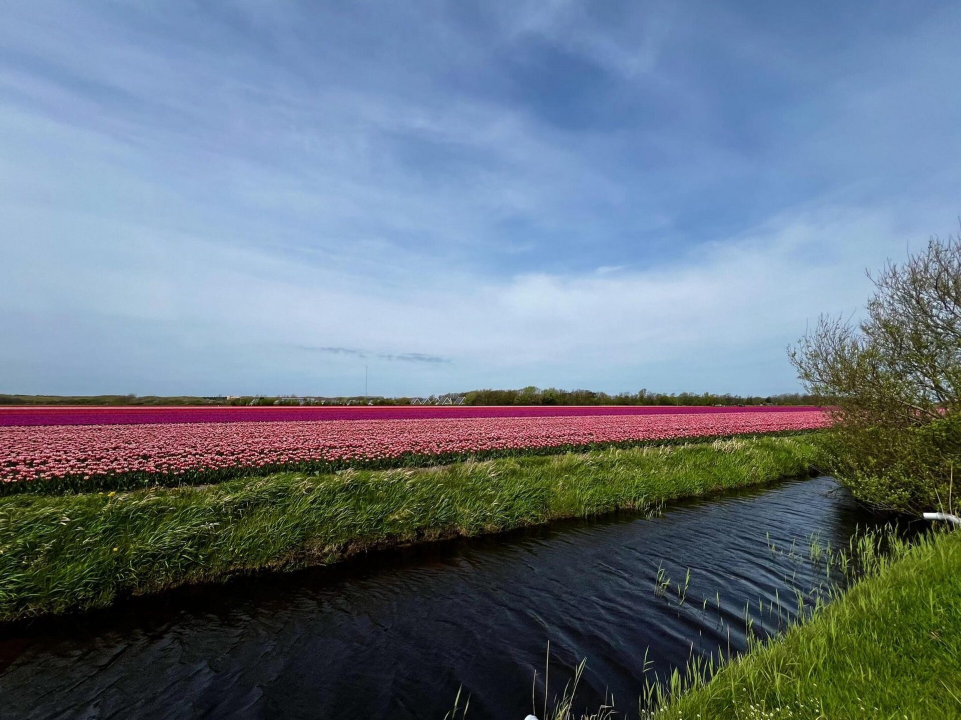 Gezellige vakantiebungalow De Schelp 27 in Sint Maartenszee - foto 18
