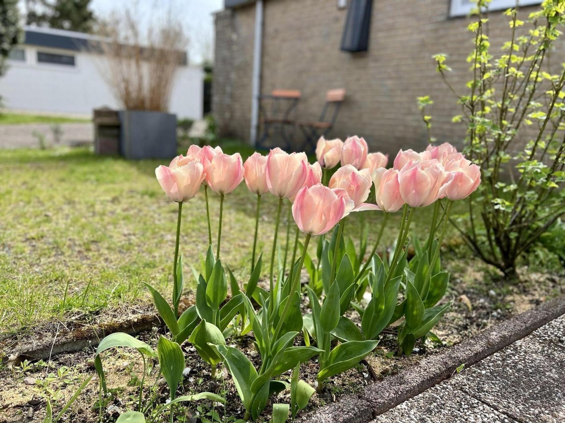 Gezellige vakantiebungalow De Schelp 27 in Sint Maartenszee - foto 22