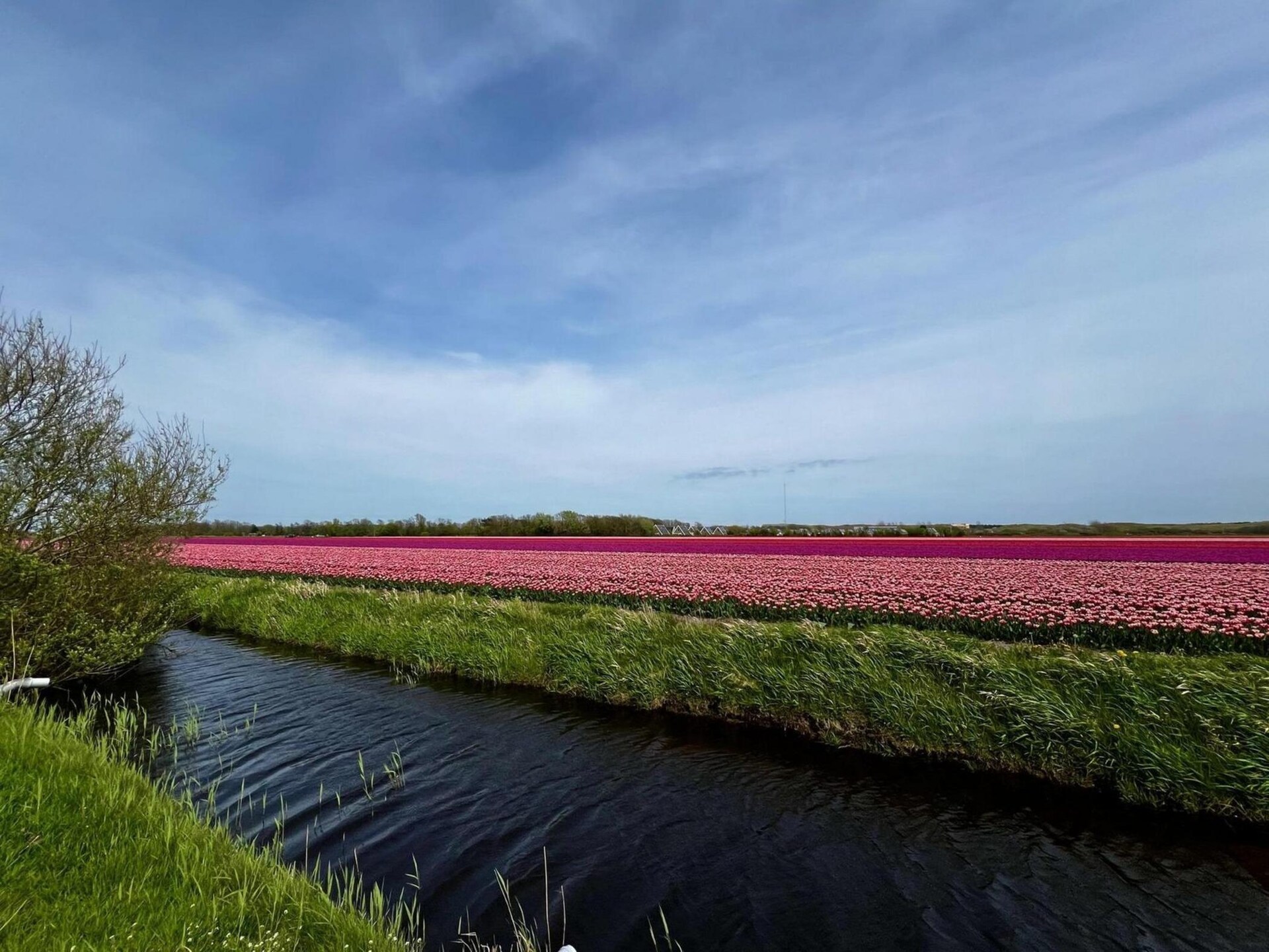 Gezellige vakantiebungalow De Schelp 27 in Sint Maartenszee - foto 34