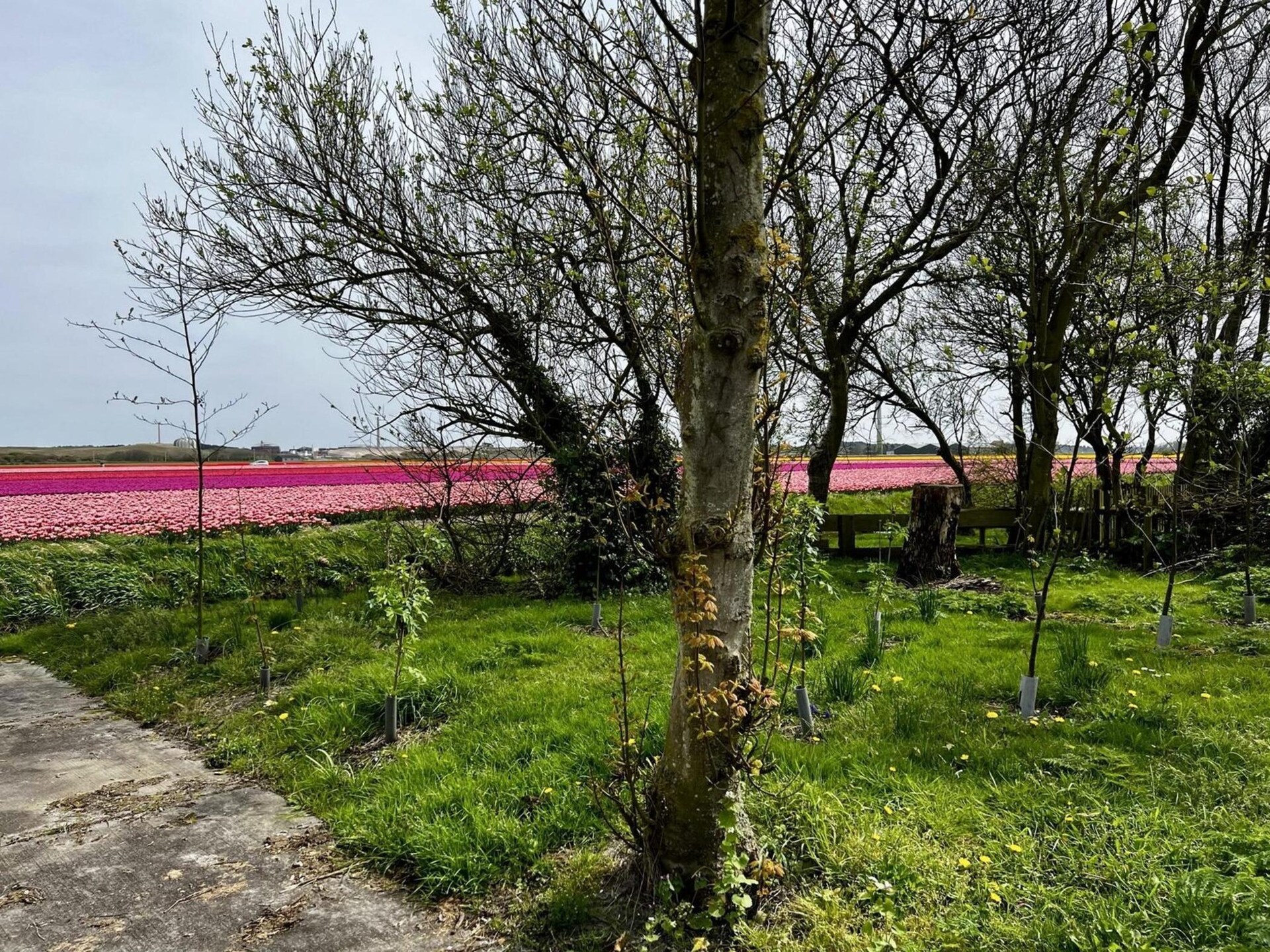 Gezellige vakantiebungalow De Schelp 27 in Sint Maartenszee - foto 35