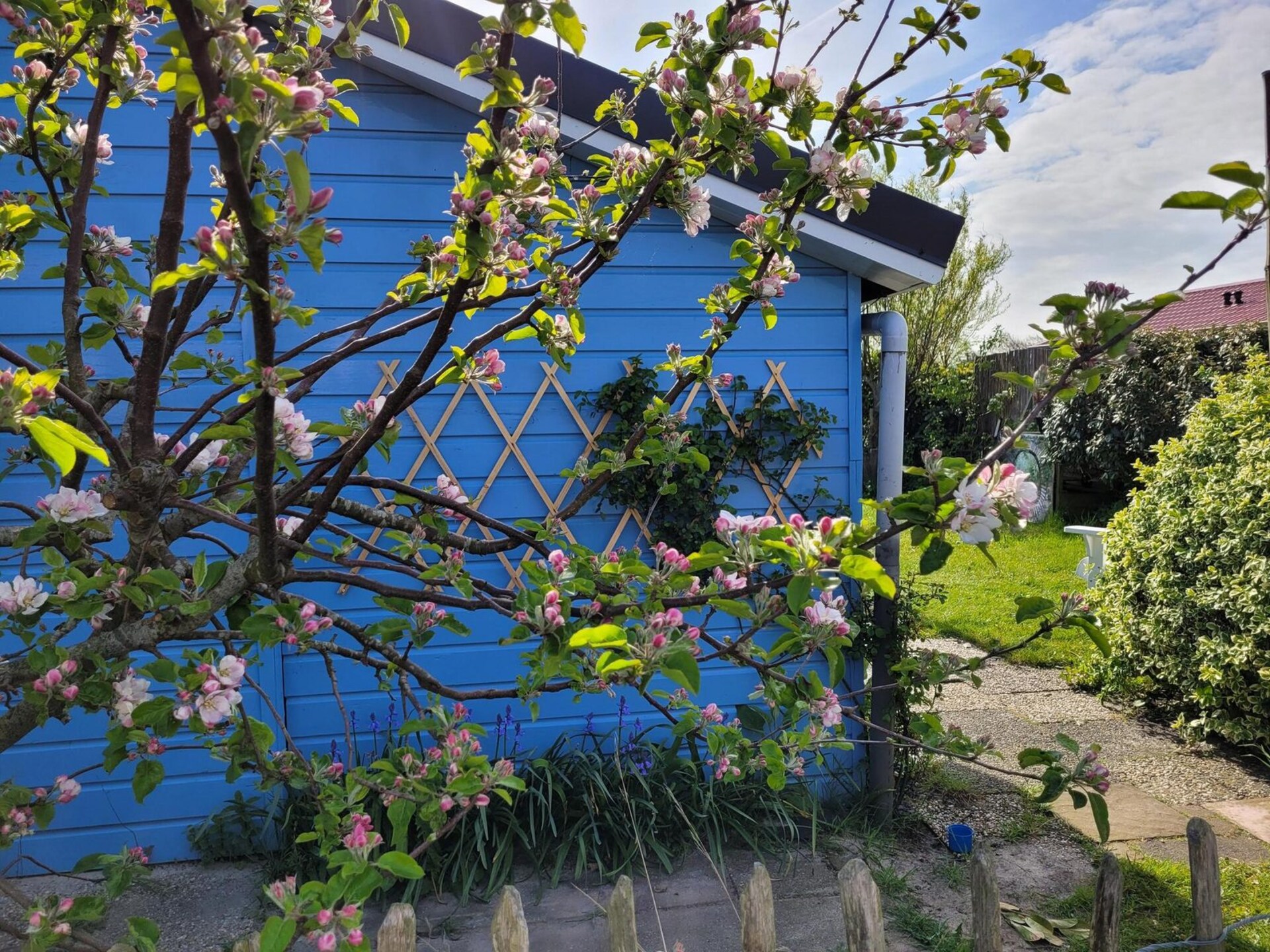 Sfeervolle bungalow Eb en Vloed 53 aan de Noord-Hollandse kust - foto 15