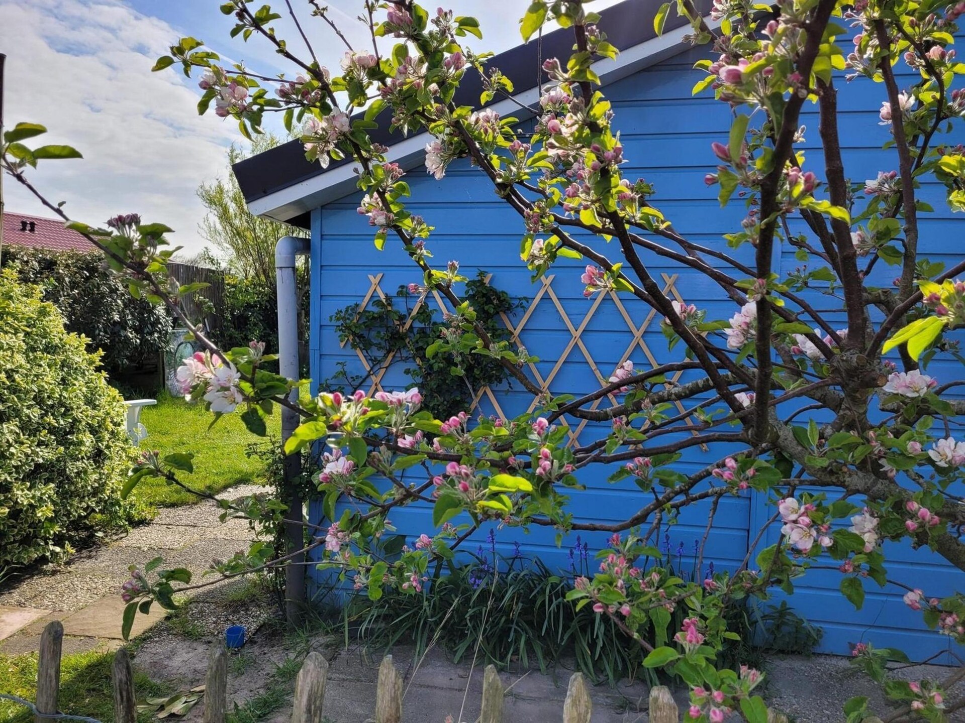 Sfeervolle bungalow Eb en Vloed 53 aan de Noord-Hollandse kust - foto 19