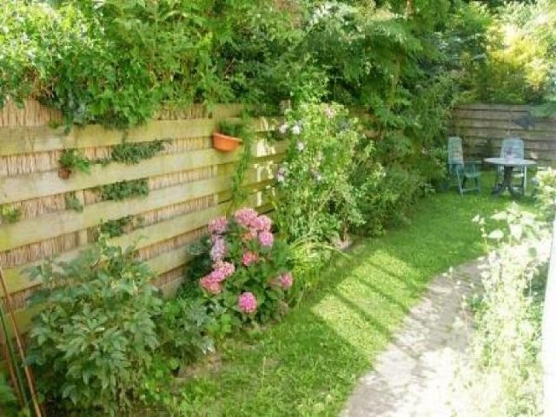 Gezellig zomerhuis in Petten: rust, bos & strand op 400 meter - foto 11
