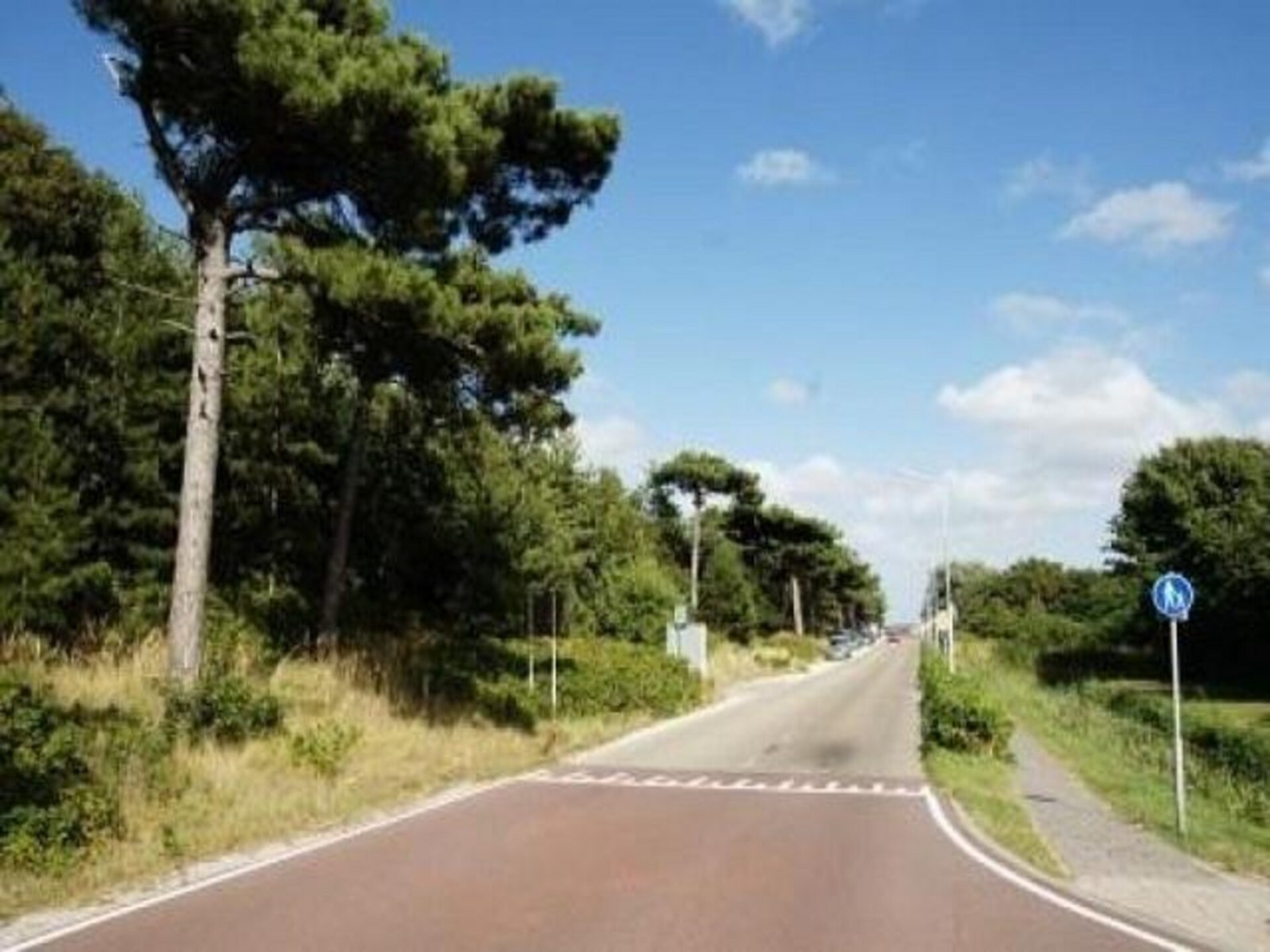 Gezellig zomerhuis in Petten: rust, bos & strand op 400 meter - foto 12