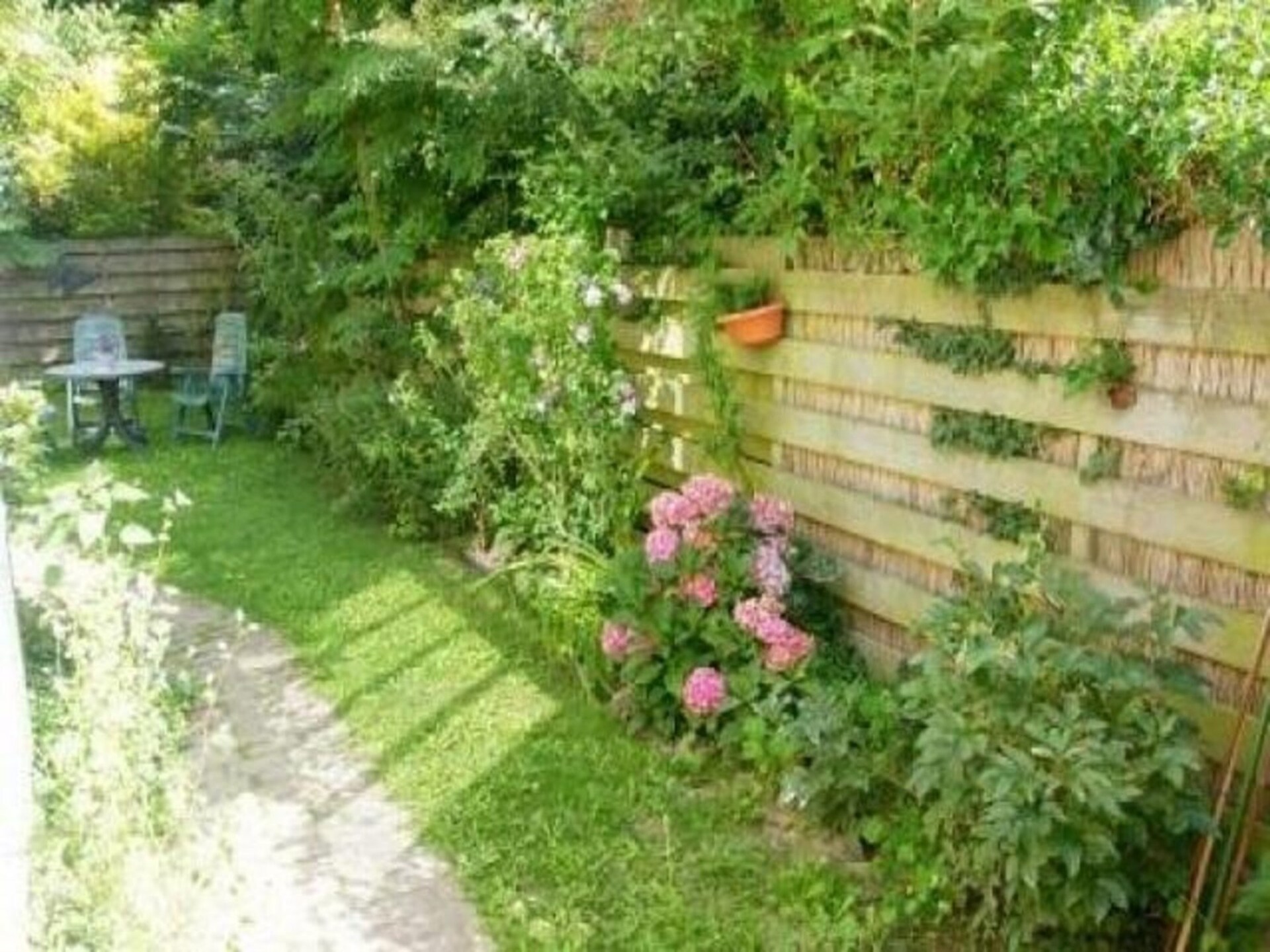 Gezellig zomerhuis in Petten: rust, bos & strand op 400 meter - foto 23