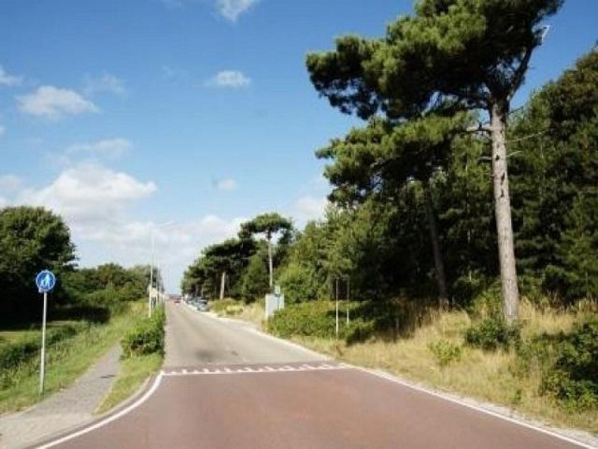 Gezellig zomerhuis in Petten: rust, bos & strand op 400 meter - foto 24