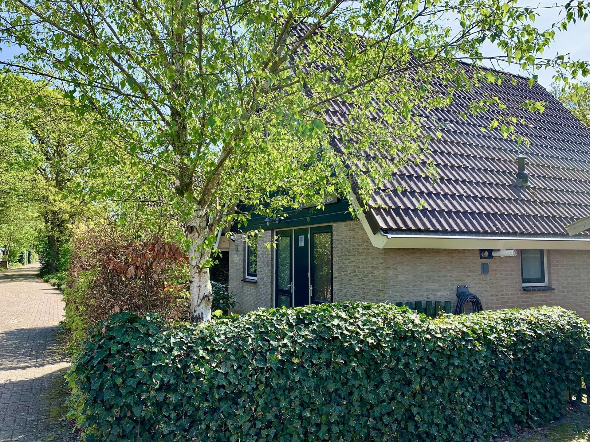 Vrijstaande bungalow Gudea 5 in rustig park bij bloemenvelden - foto 5