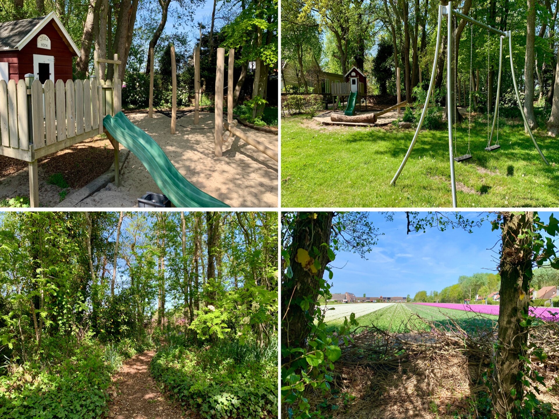 Vrijstaande bungalow Gudea 5 in rustig park bij bloemenvelden - foto 15