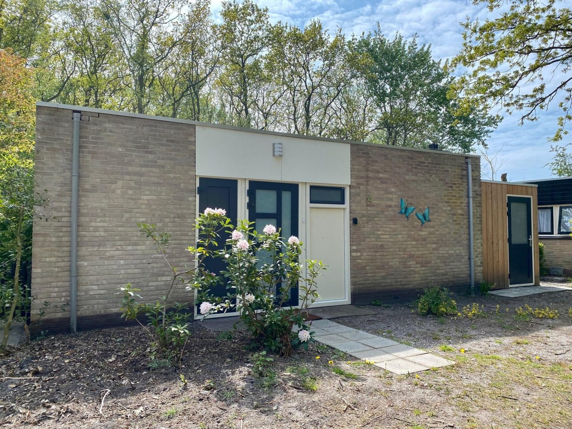 Kloosterbos 4: Knusse bungalow op 2 km van strand Sint Maartenszee - foto 6