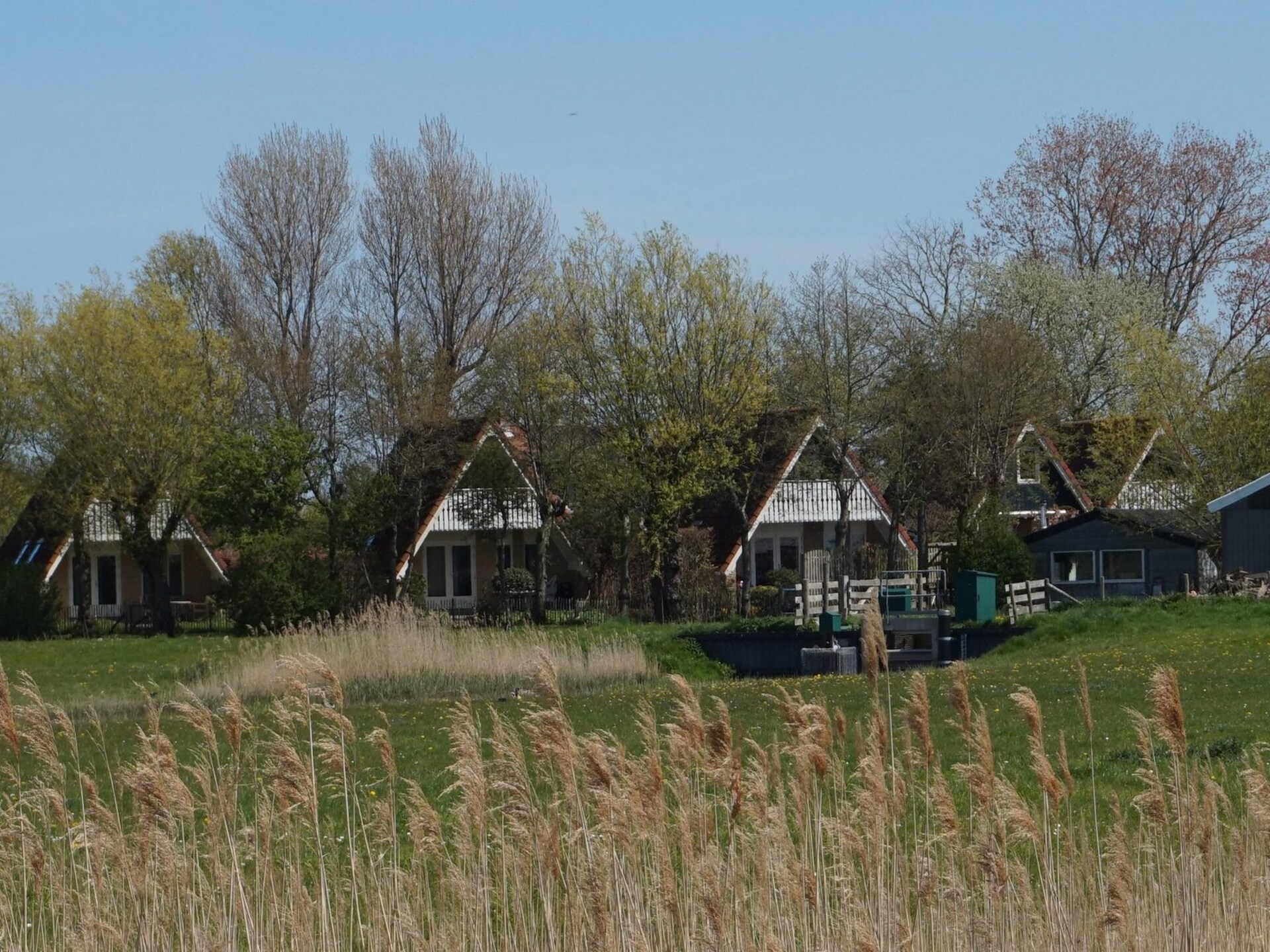 Vogelvrij 4: Rustig vakantiehuis bij strand en landerijen in Burgerbrug - foto 19