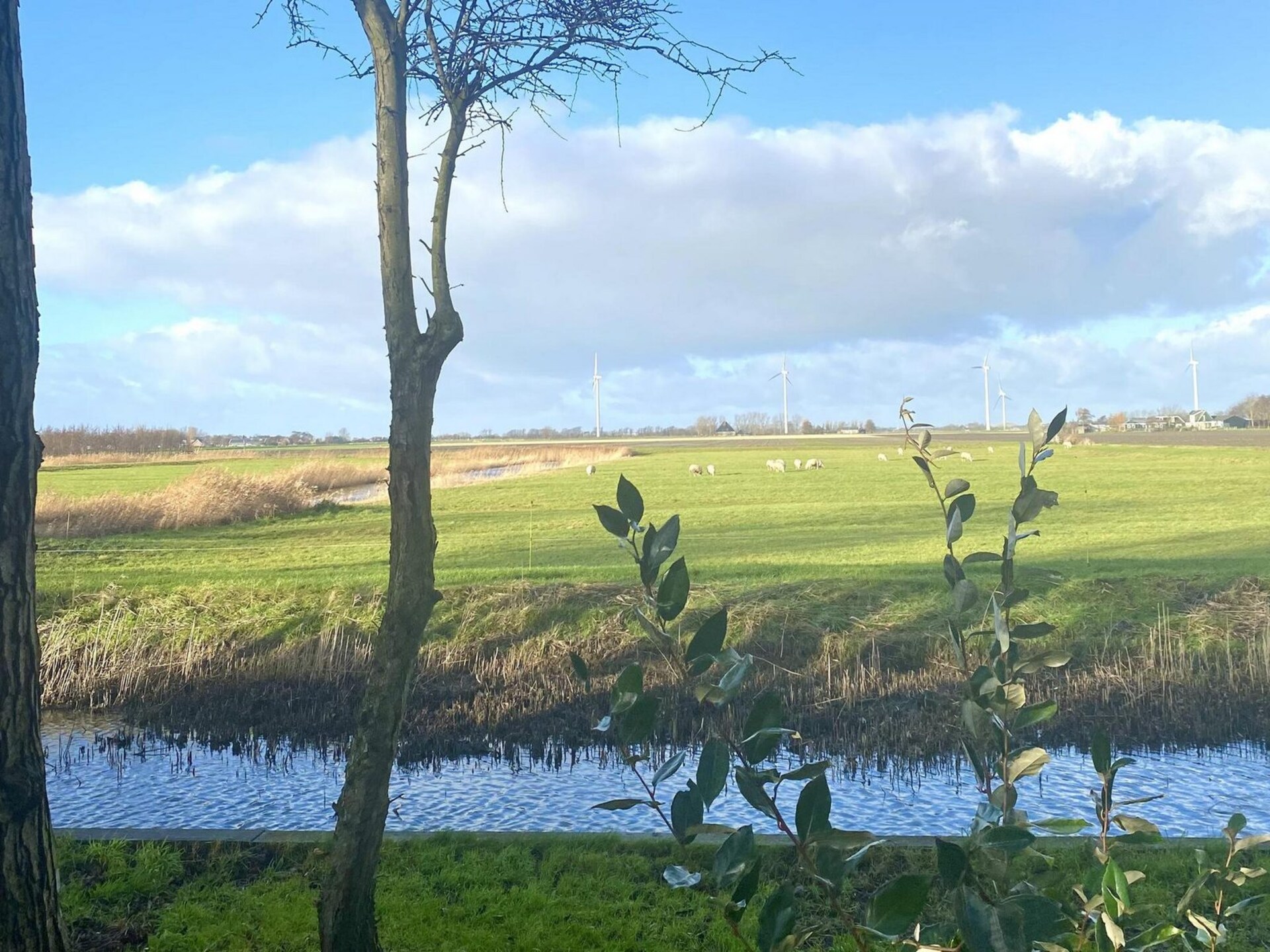 Vogelvrij 4: Rustig vakantiehuis bij strand en landerijen in Burgerbrug - foto 22