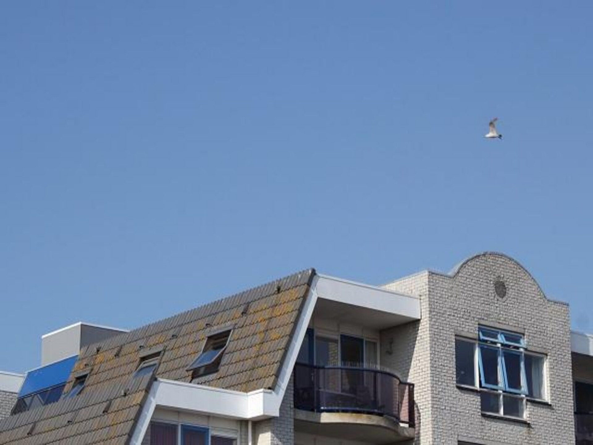 Vrijstaand vakantiehuis Beach 15-20: strand, duinen en het nieuwe plein - foto 6