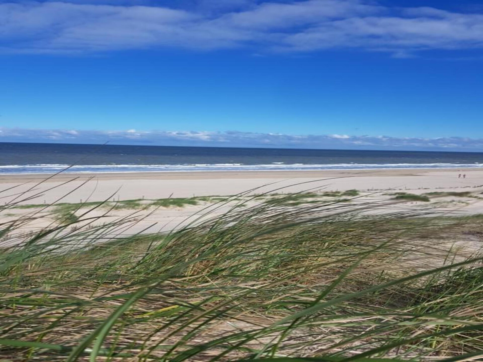 Vrijstaand vakantiehuis Beach 15-20: strand, duinen en het nieuwe plein - foto 22