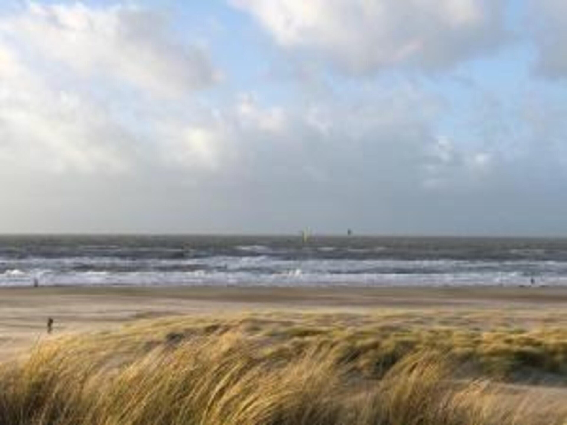 Vrijstaand vakantiehuis Beach 15-20: strand, duinen en het nieuwe plein - foto 18