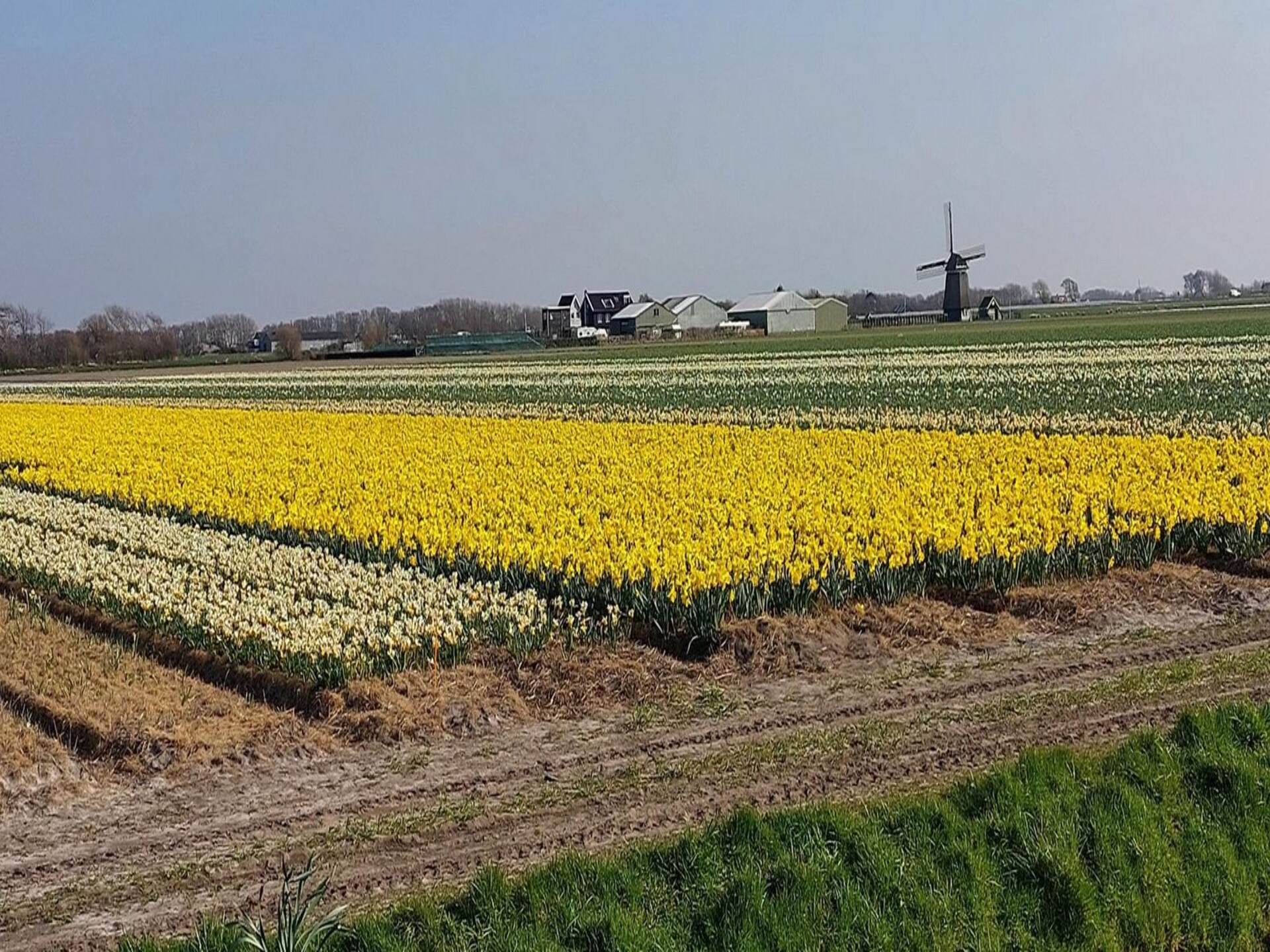 Kalliste – Modern vakantiehuis met grote tuin nabij strand Sint Maartenszee - foto 12