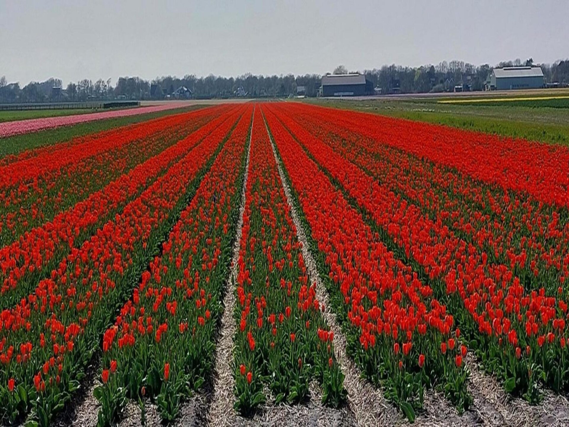 Kalliste – Modern vakantiehuis met grote tuin nabij strand Sint Maartenszee - foto 29