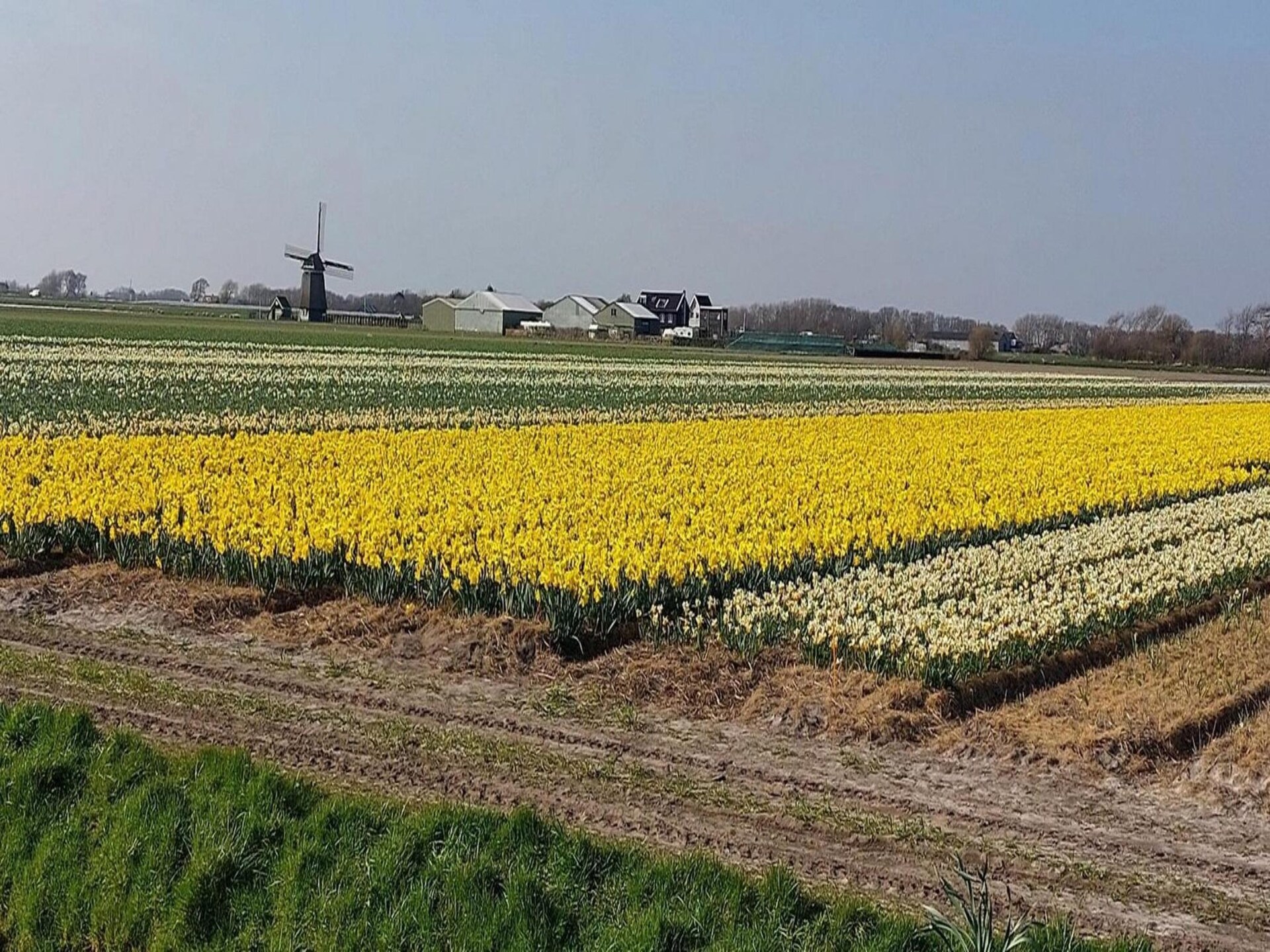 Kalliste – Modern vakantiehuis met grote tuin nabij strand Sint Maartenszee - foto 33