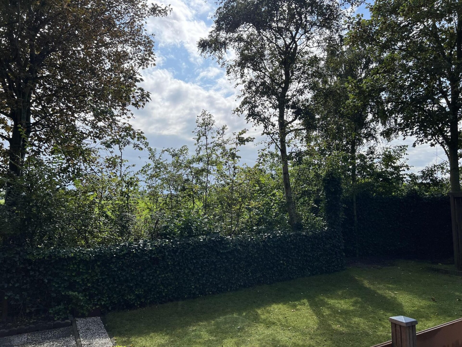 Campanula 208: Vrijstaand chalet met tuin bij Sint Maartenszee - foto 16