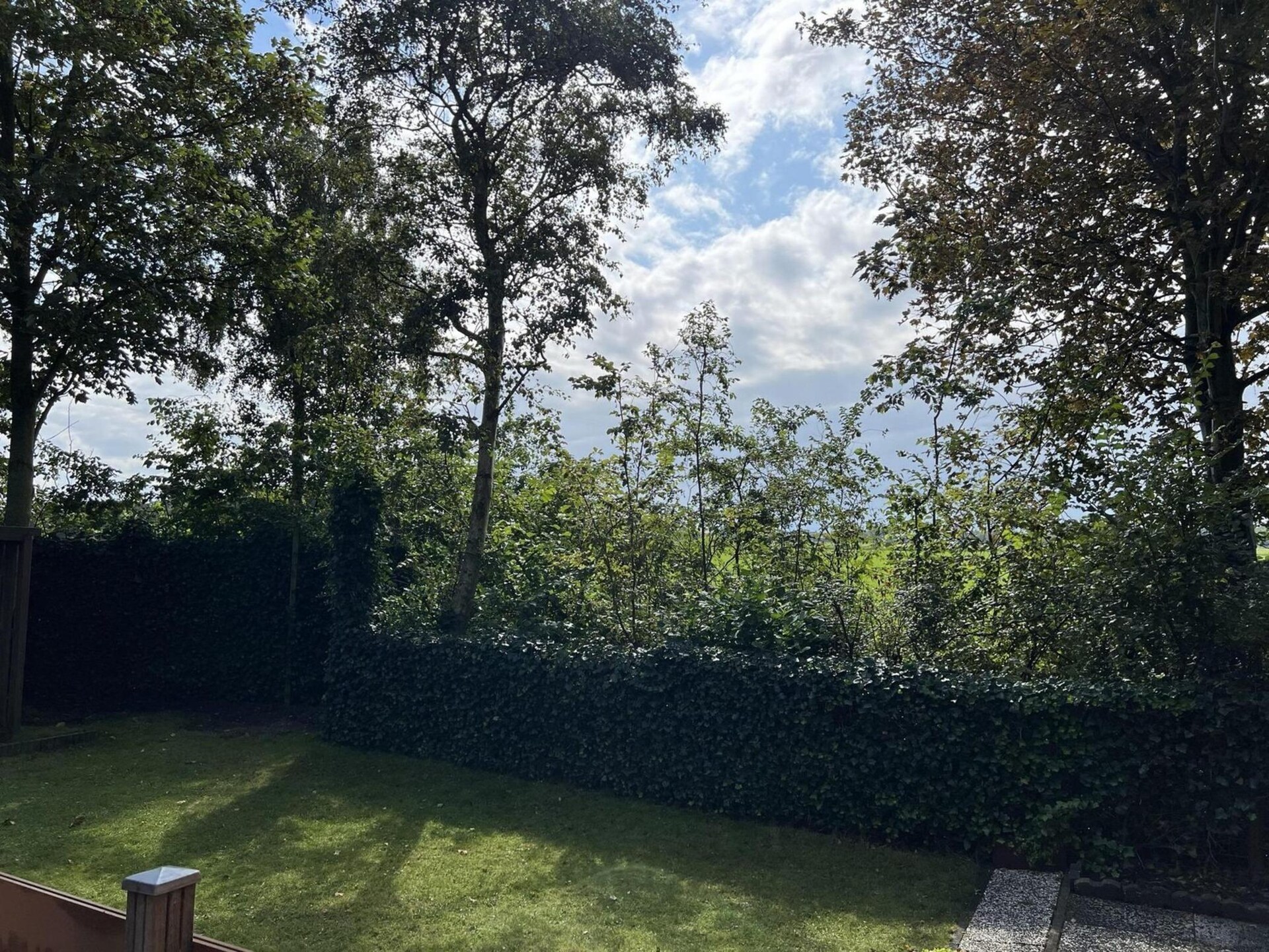 Campanula 208: Vrijstaand chalet met tuin bij Sint Maartenszee - foto 32