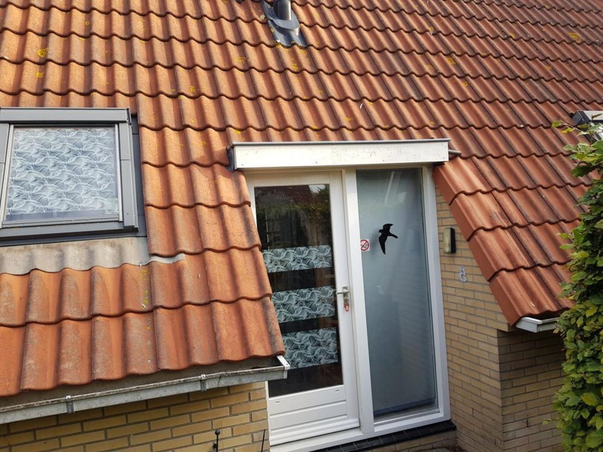 Vogelvrij 5: Vrijstaand vakantiehuis vlakbij het strand van Petten - foto 18