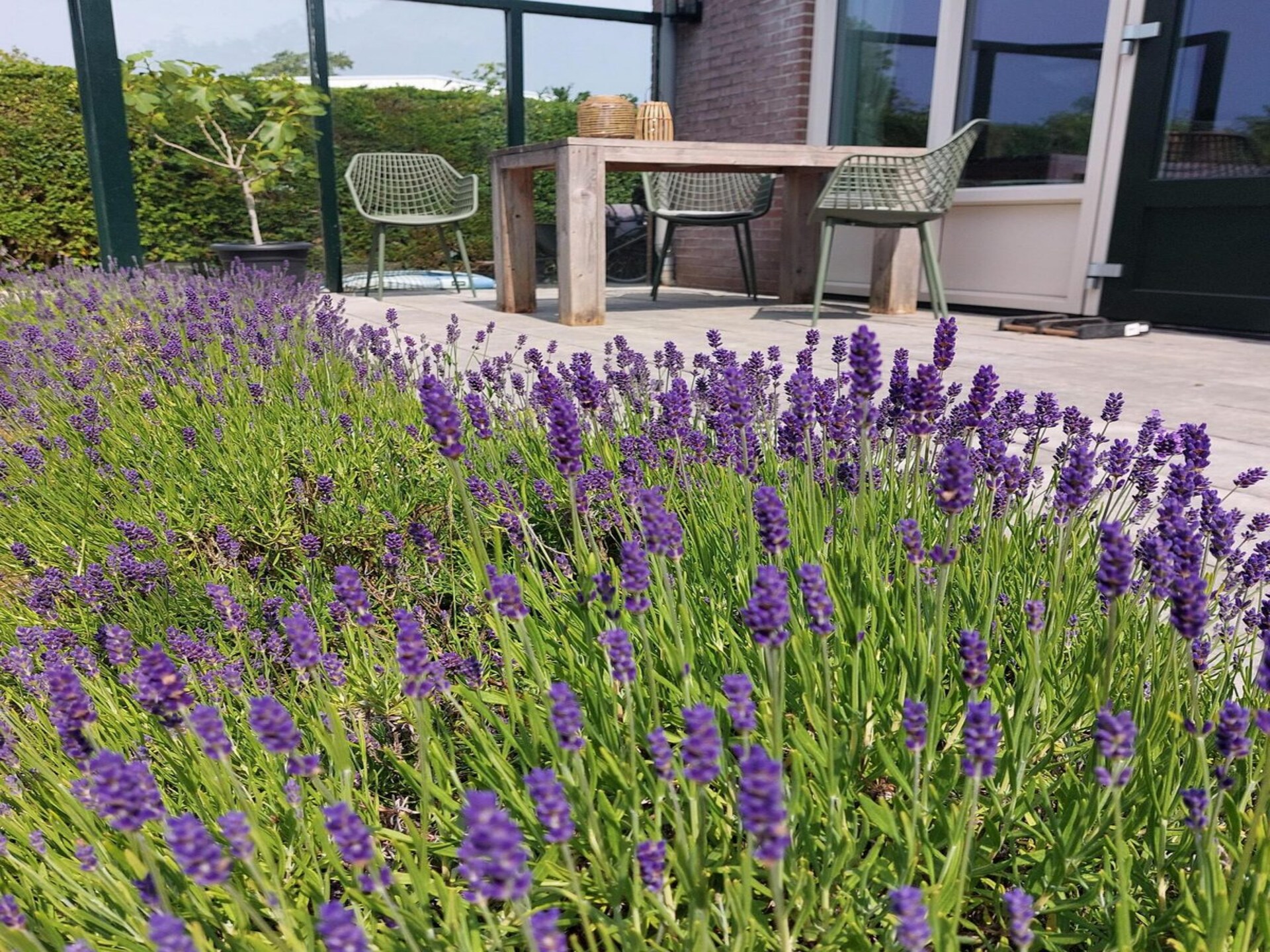Eureka 102: Gerenoveerde bungalow met landelijk uitzicht bij Sint Maartenszee - foto 17