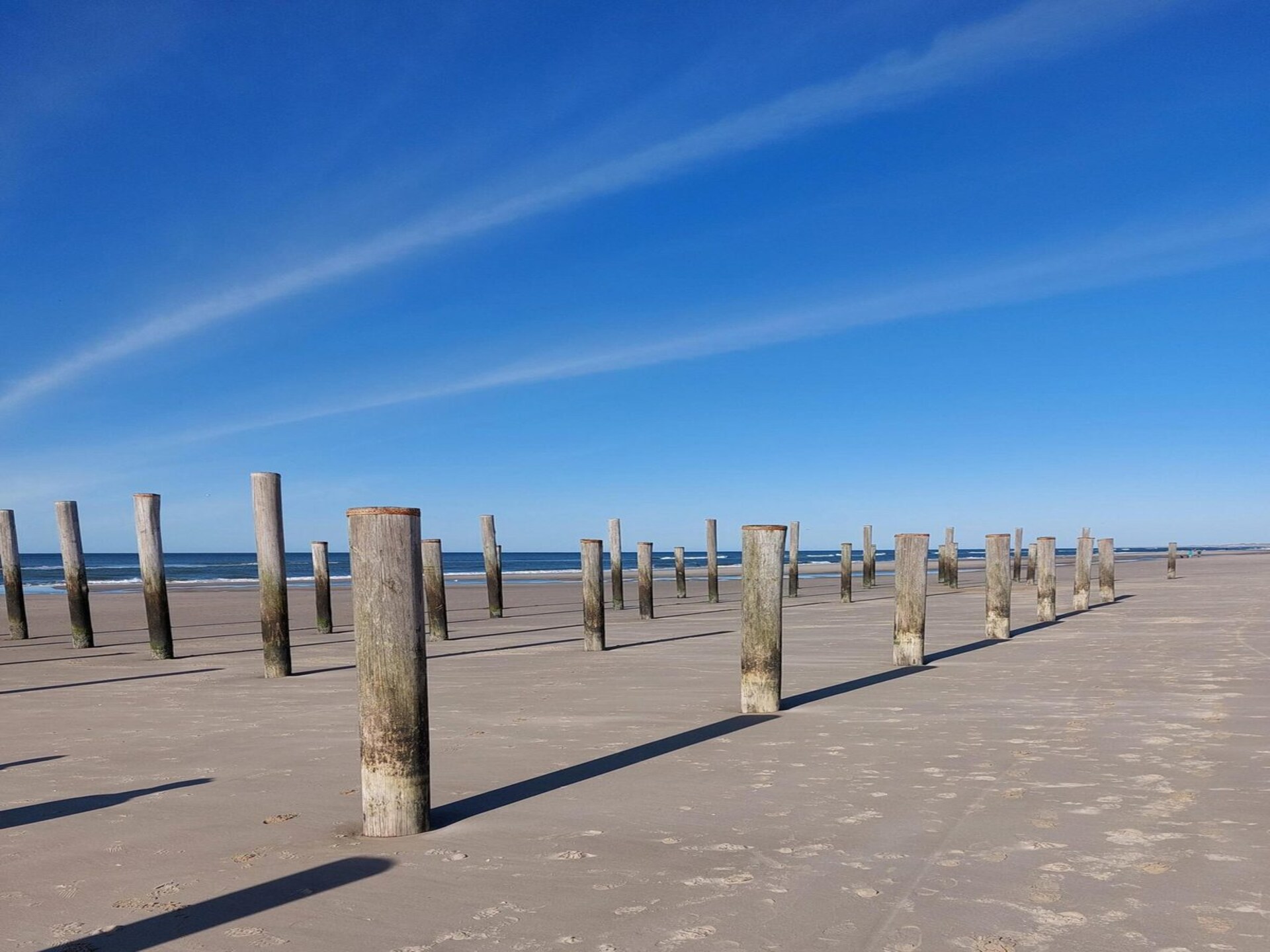 Eureka 102: Gerenoveerde bungalow met landelijk uitzicht bij Sint Maartenszee - foto 23