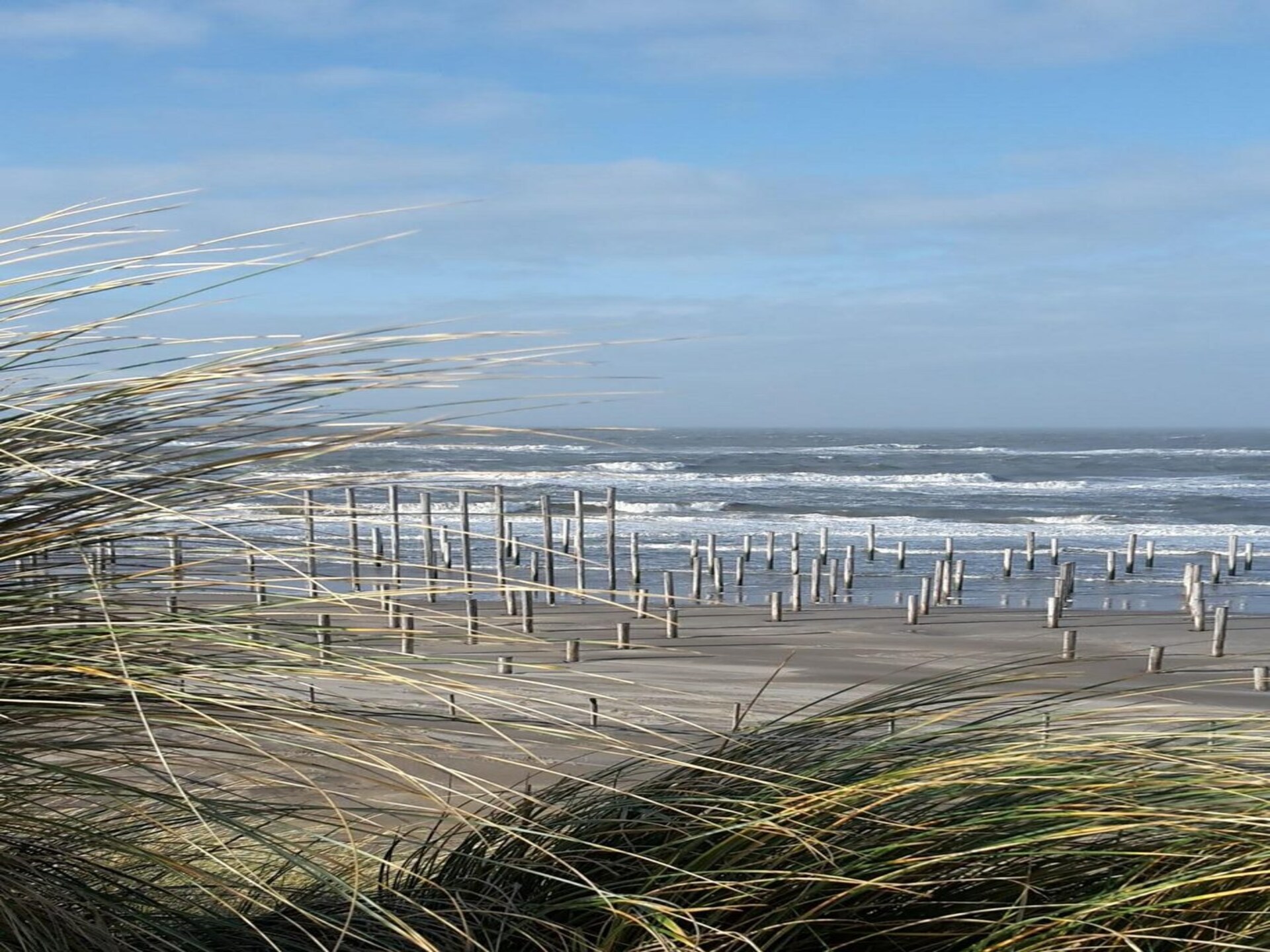 Eureka 102: Gerenoveerde bungalow met landelijk uitzicht bij Sint Maartenszee - foto 24