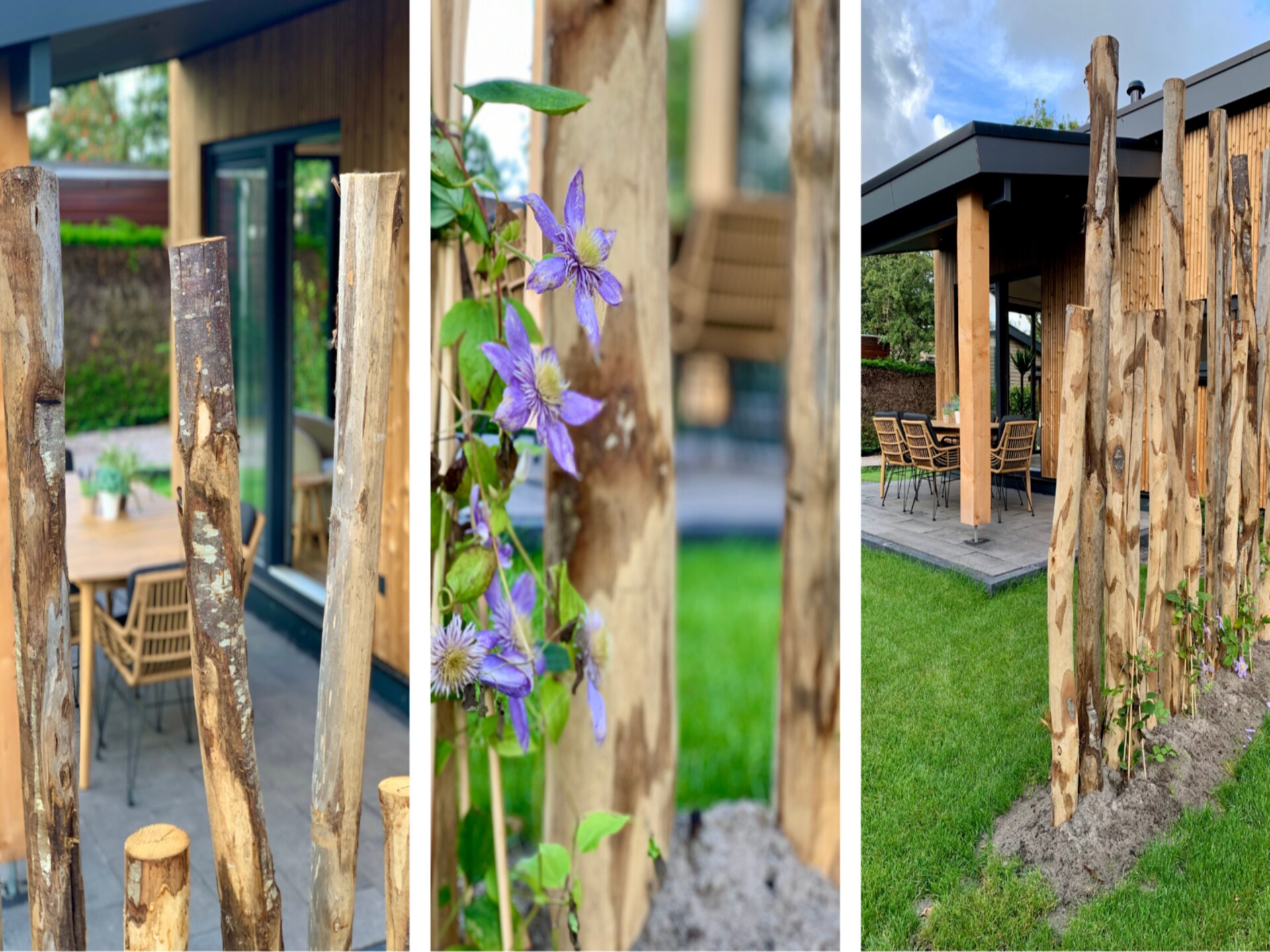 Campanula 224: Modern chalet op fietsafstand van strand Sint-Maartenszee - foto 15