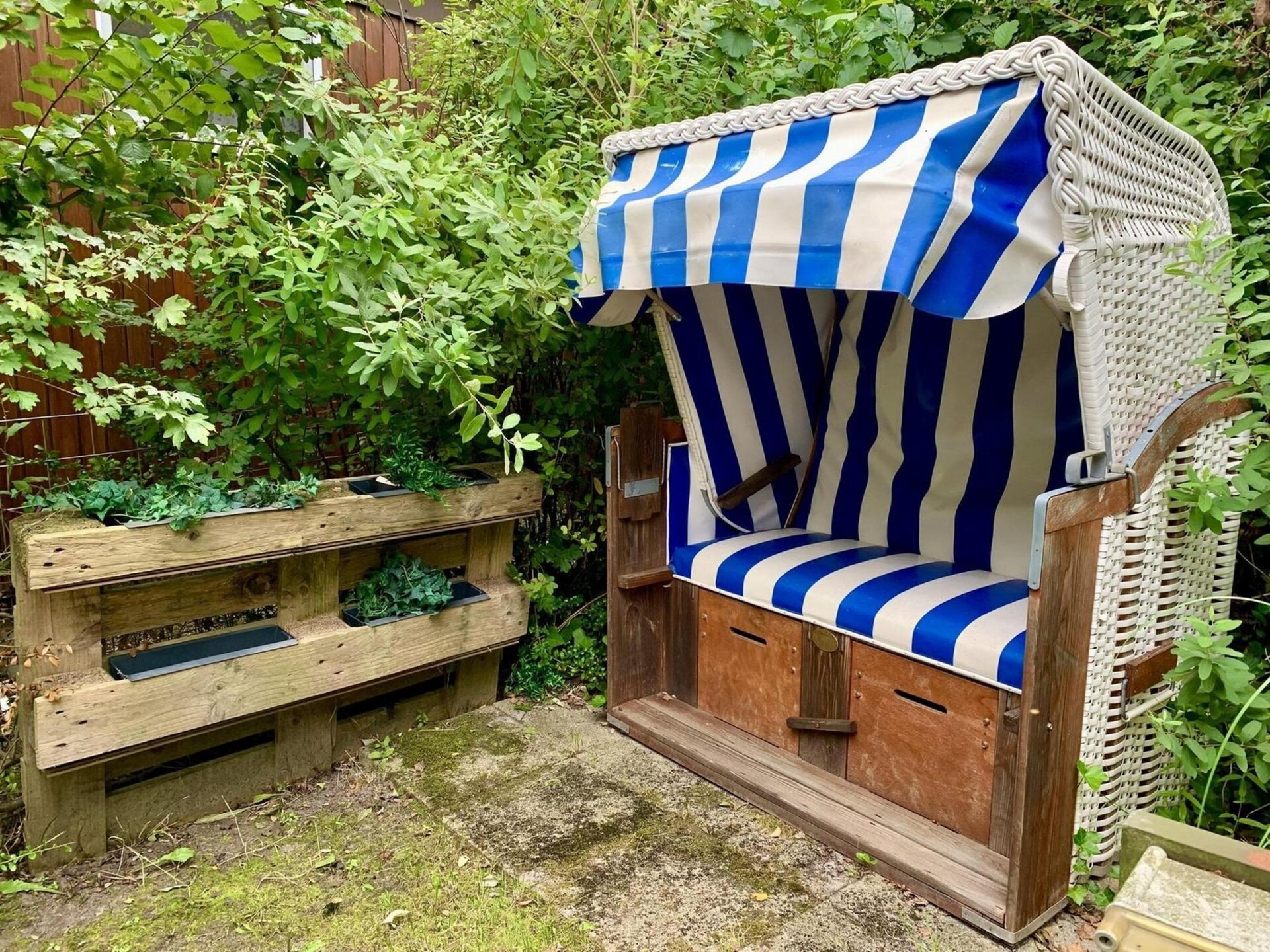 Campanula 191: Gezellig vrijstaand chalet bij strand en duinen - foto 28