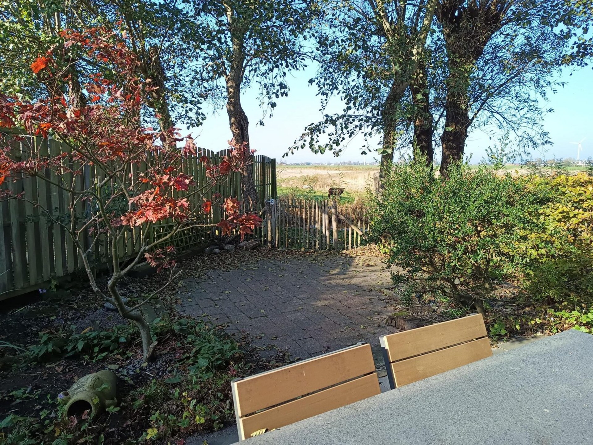 Vrijstaand vakantiehuis in rustige omgeving nabij het Noordzeestrand - foto 16