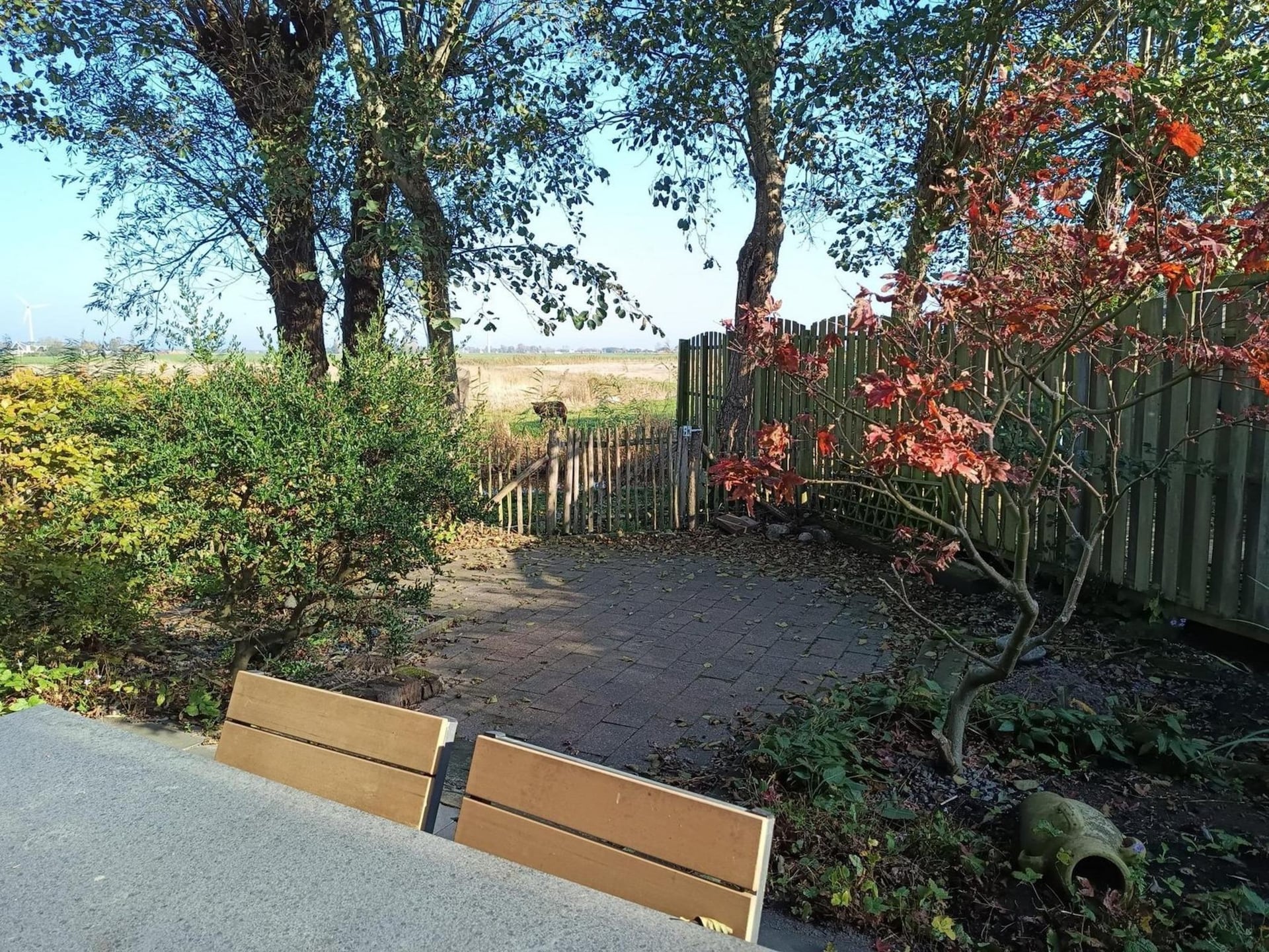 Vrijstaand vakantiehuis in rustige omgeving nabij het Noordzeestrand - foto 19