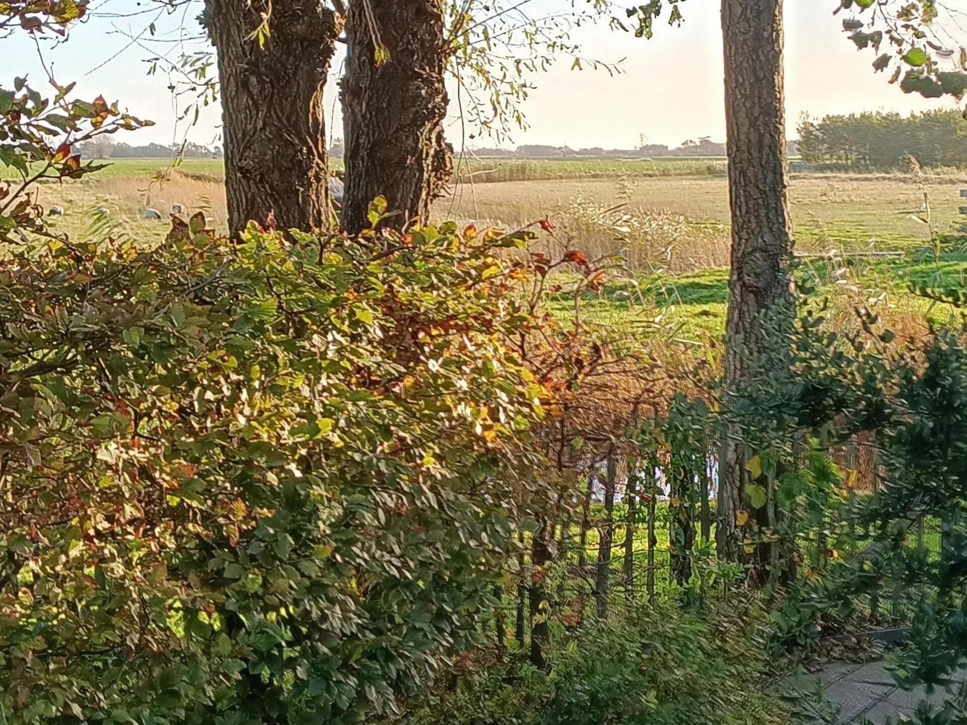 Vrijstaand vakantiehuis in rustige omgeving nabij het Noordzeestrand - foto 23