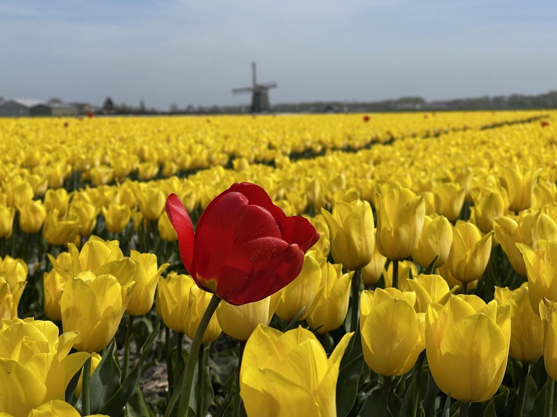 Vrijstaand vakantiehuis De Schelp 12 in Sint Maartenszee - foto 20