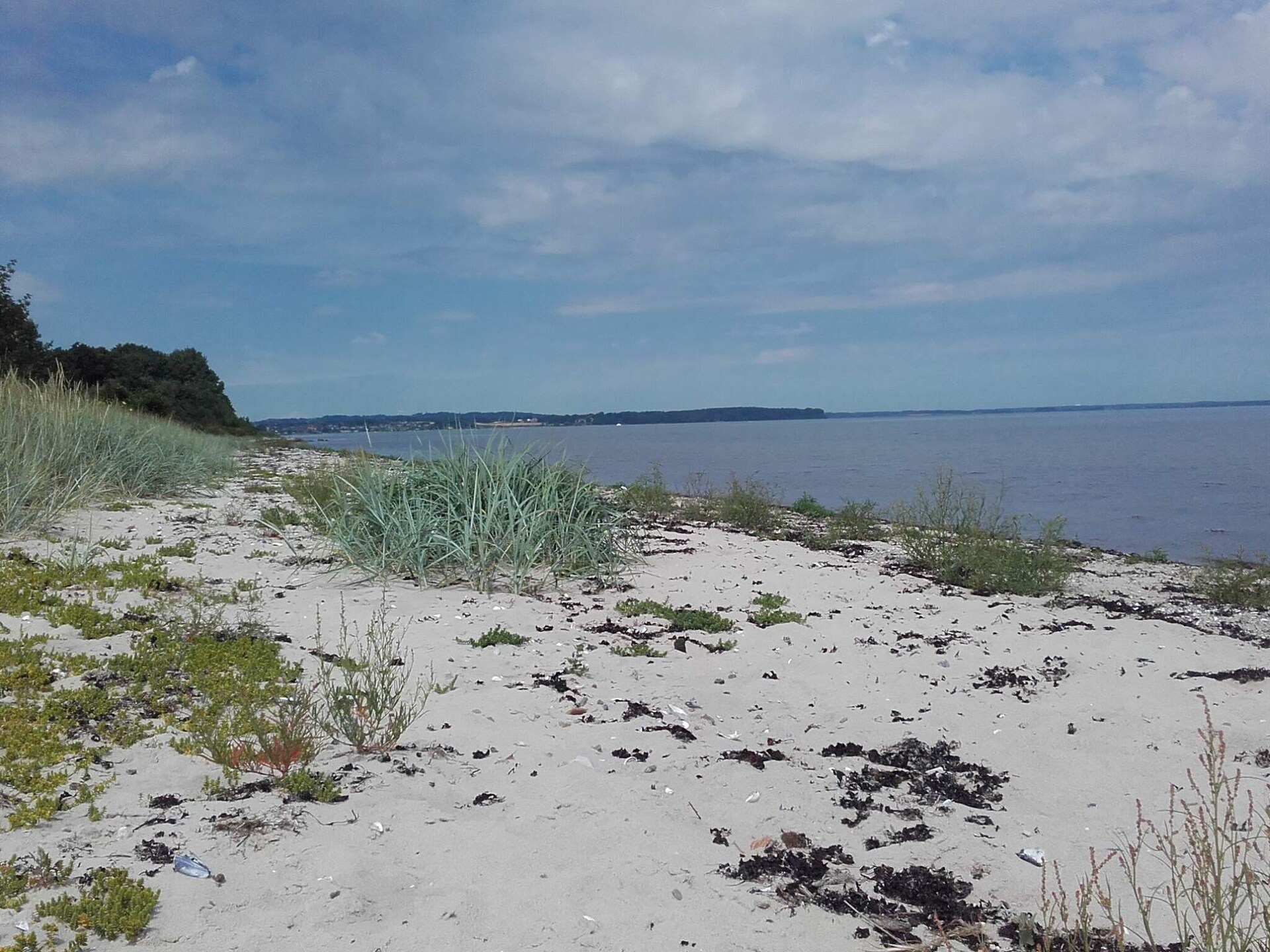Vrijstaand vakantiehuis aan het fjord bij Haderslev, 200m van het strand - foto 20