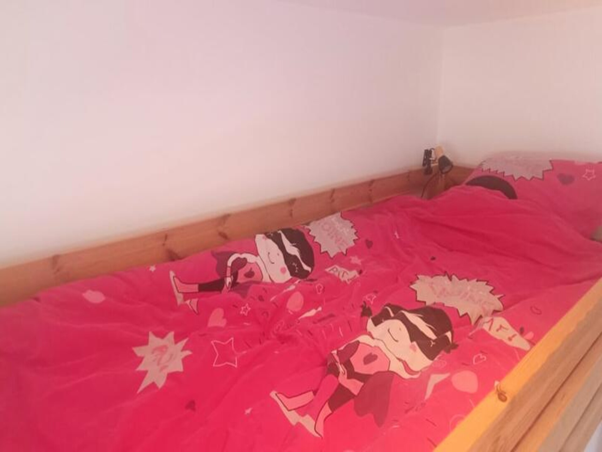 Ruim appartement direct aan de piste in La Féclaz, 7 personen - foto 13