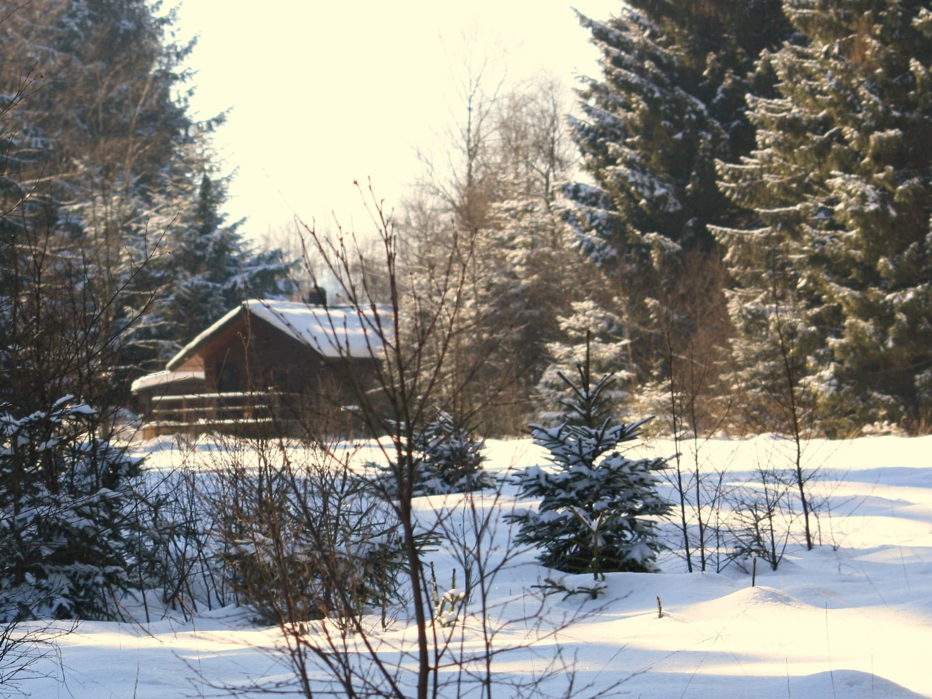 Op 400 m van de piste: knus 2-persoons chalet in Waimes - Sourbrodt - foto 34