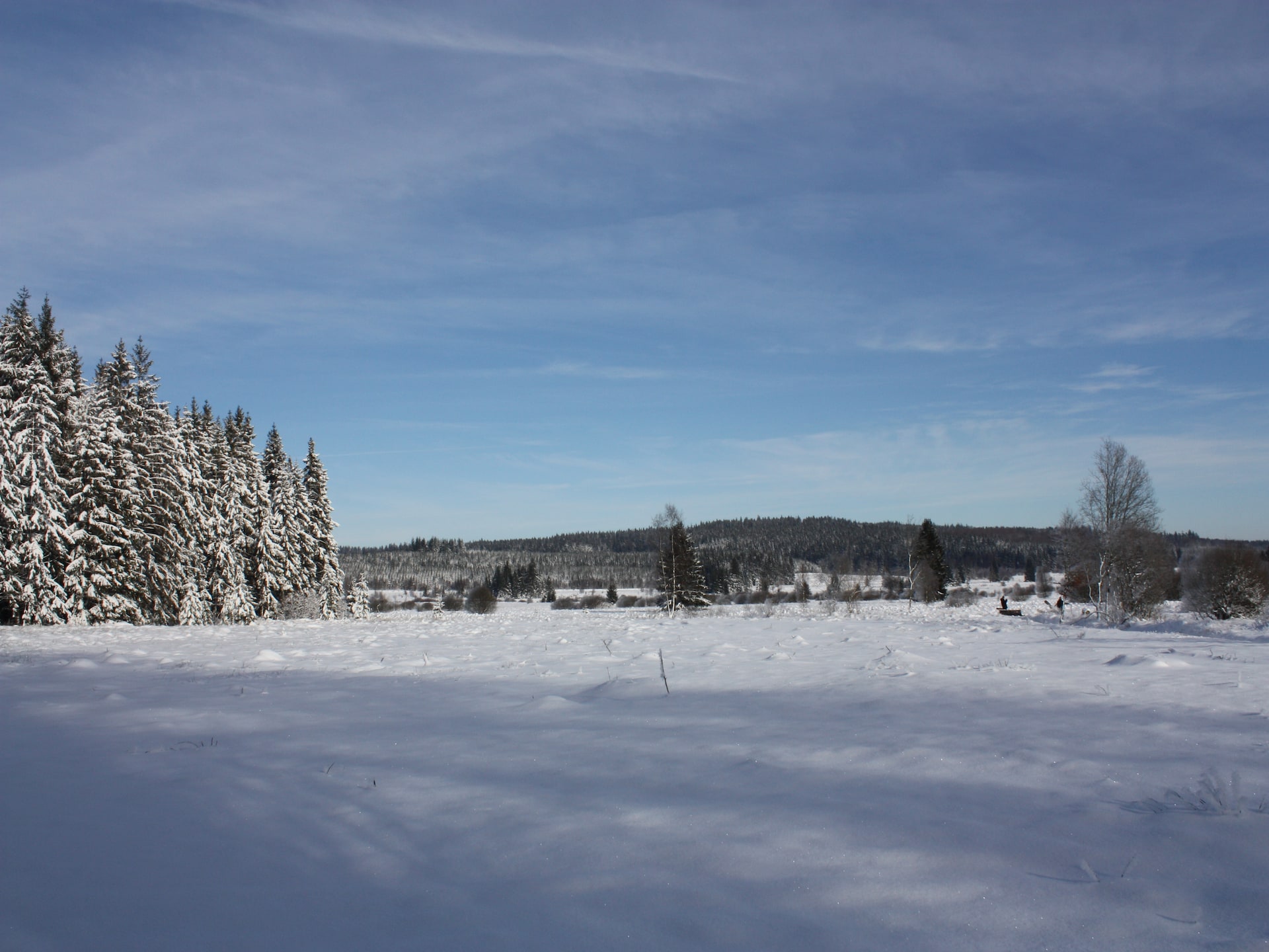 Op 400 m van de piste: knus 2-persoons chalet in Waimes - Sourbrodt - foto 32