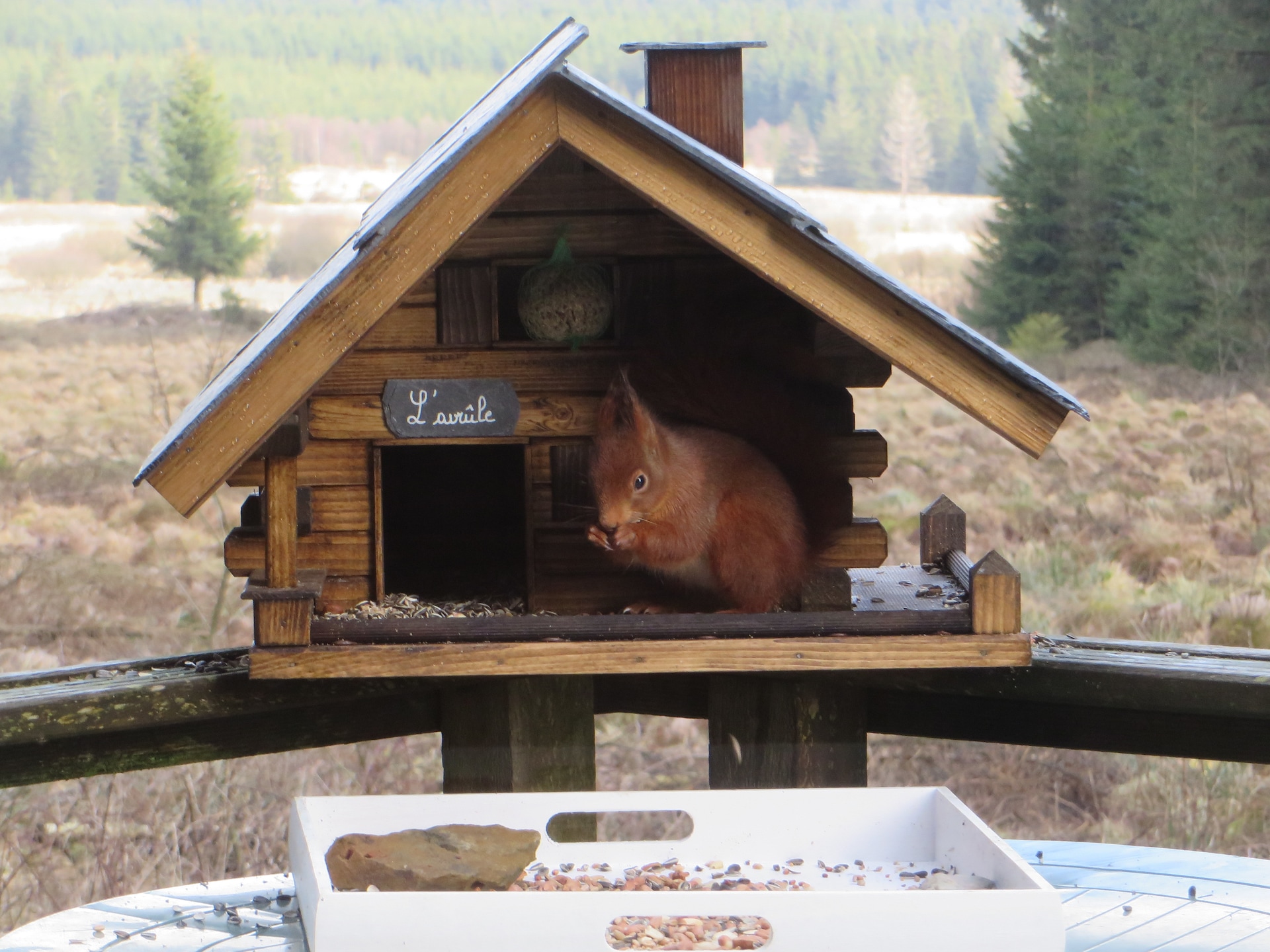 Op 400 m van de piste: knus 2-persoons chalet in Waimes - Sourbrodt - foto 30