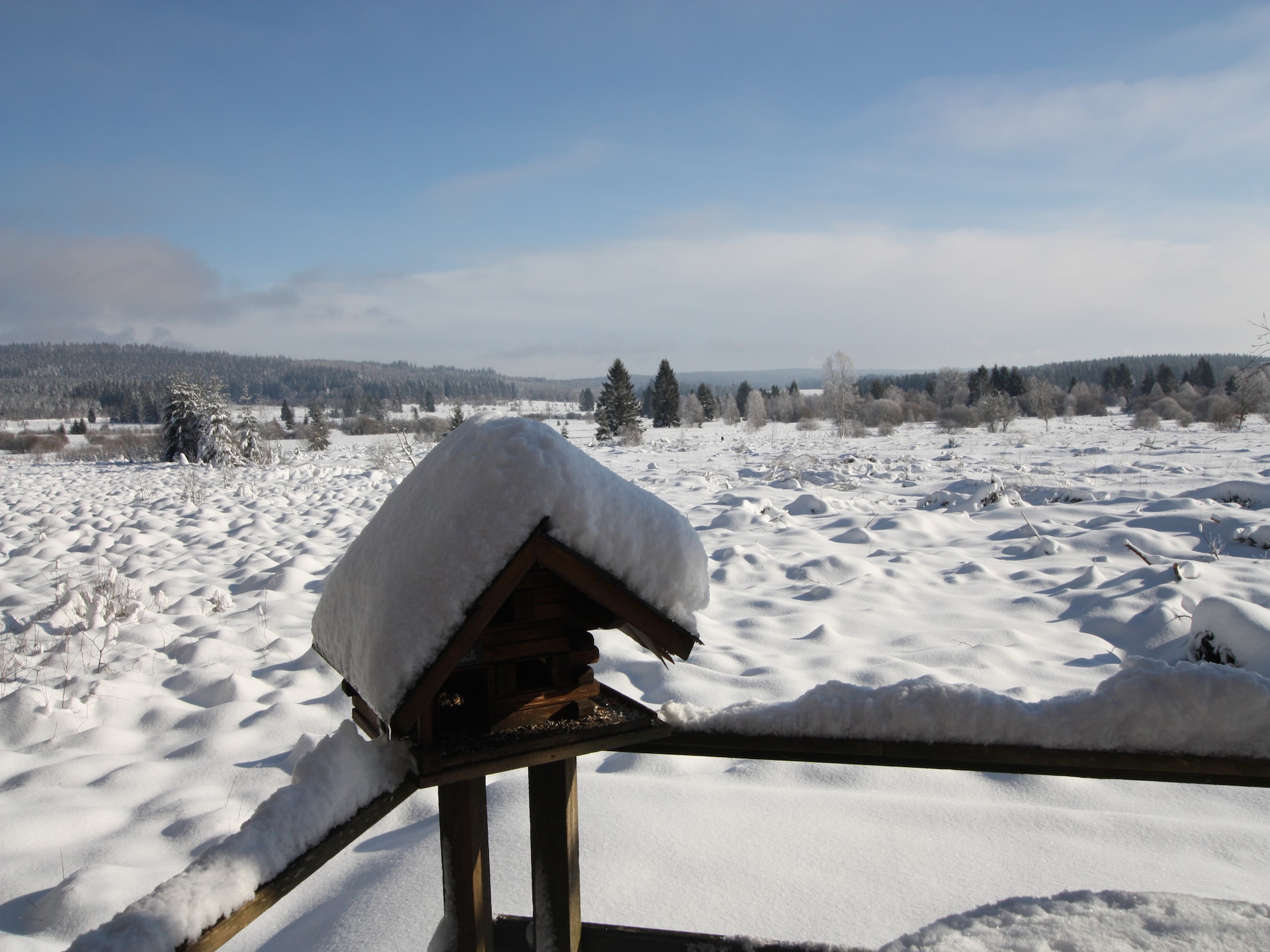 Op 400 m van de piste: knus 2-persoons chalet in Waimes - Sourbrodt - foto 37