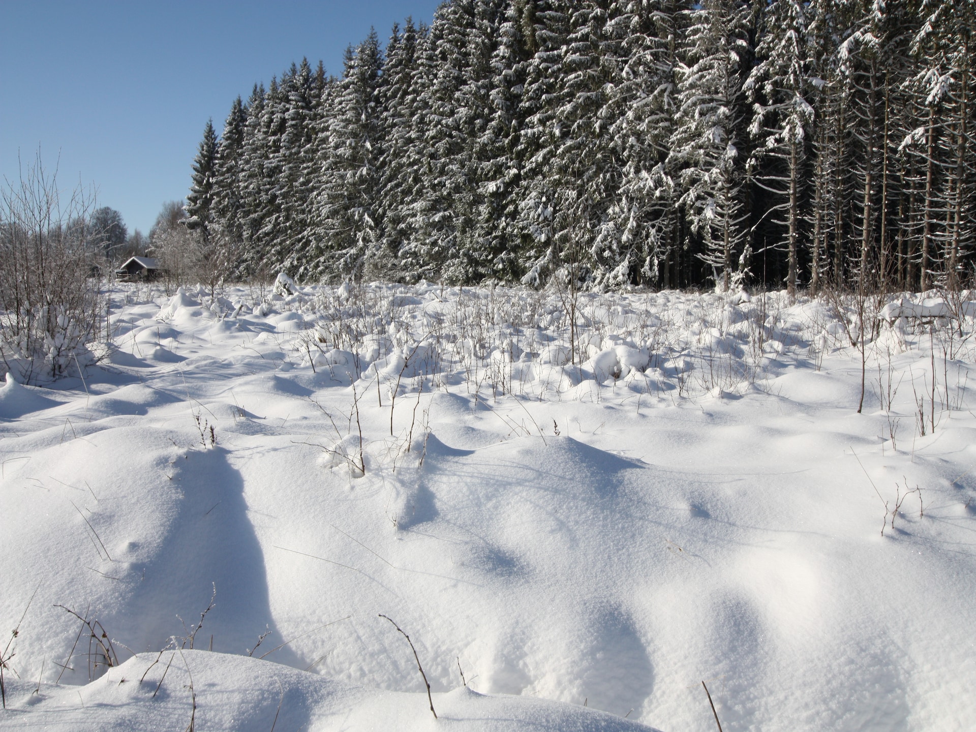 Op 400 m van de piste: knus 2-persoons chalet in Waimes - Sourbrodt - foto 36