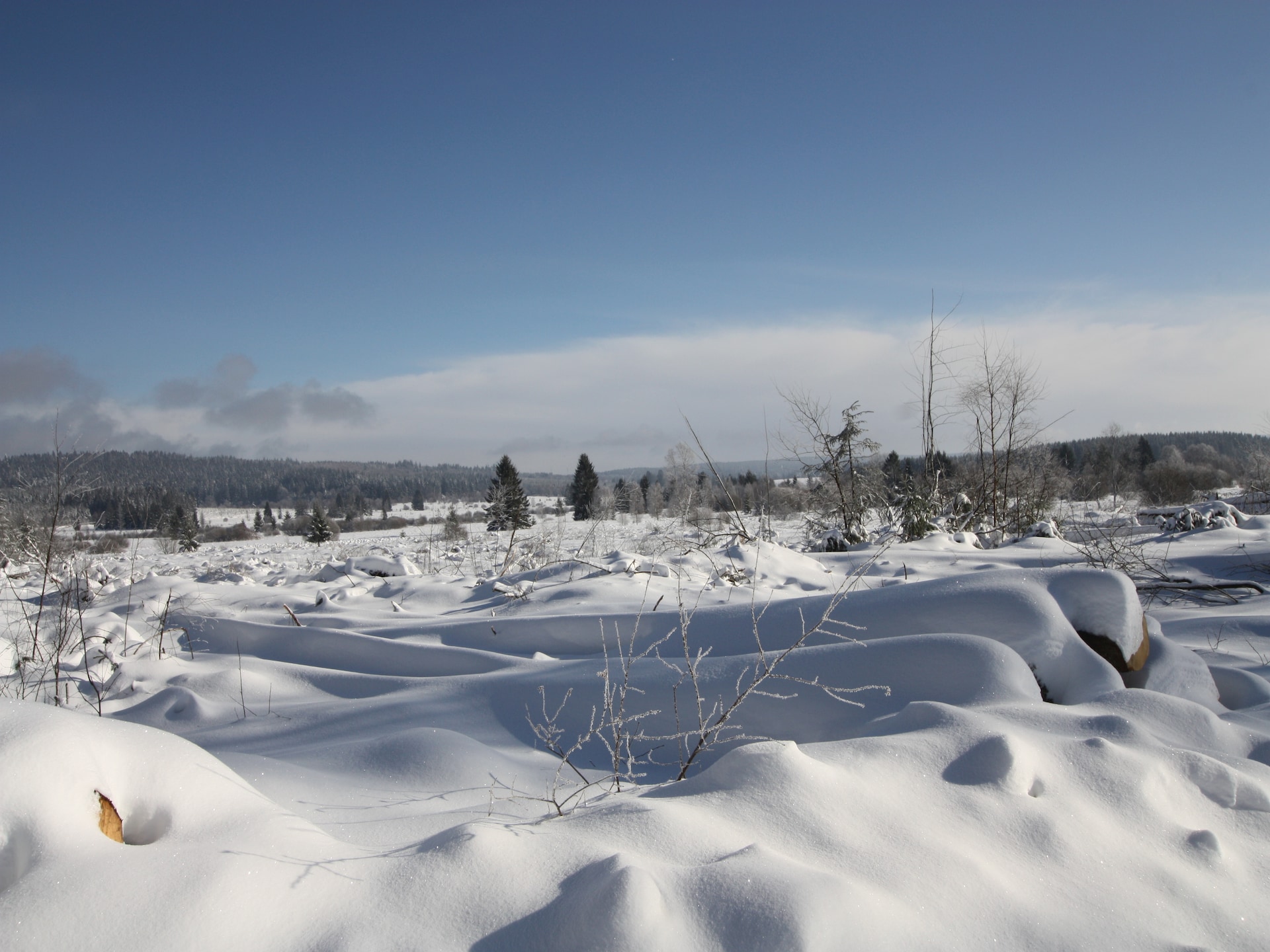 Op 400 m van de piste: knus 2-persoons chalet in Waimes - Sourbrodt - foto 33