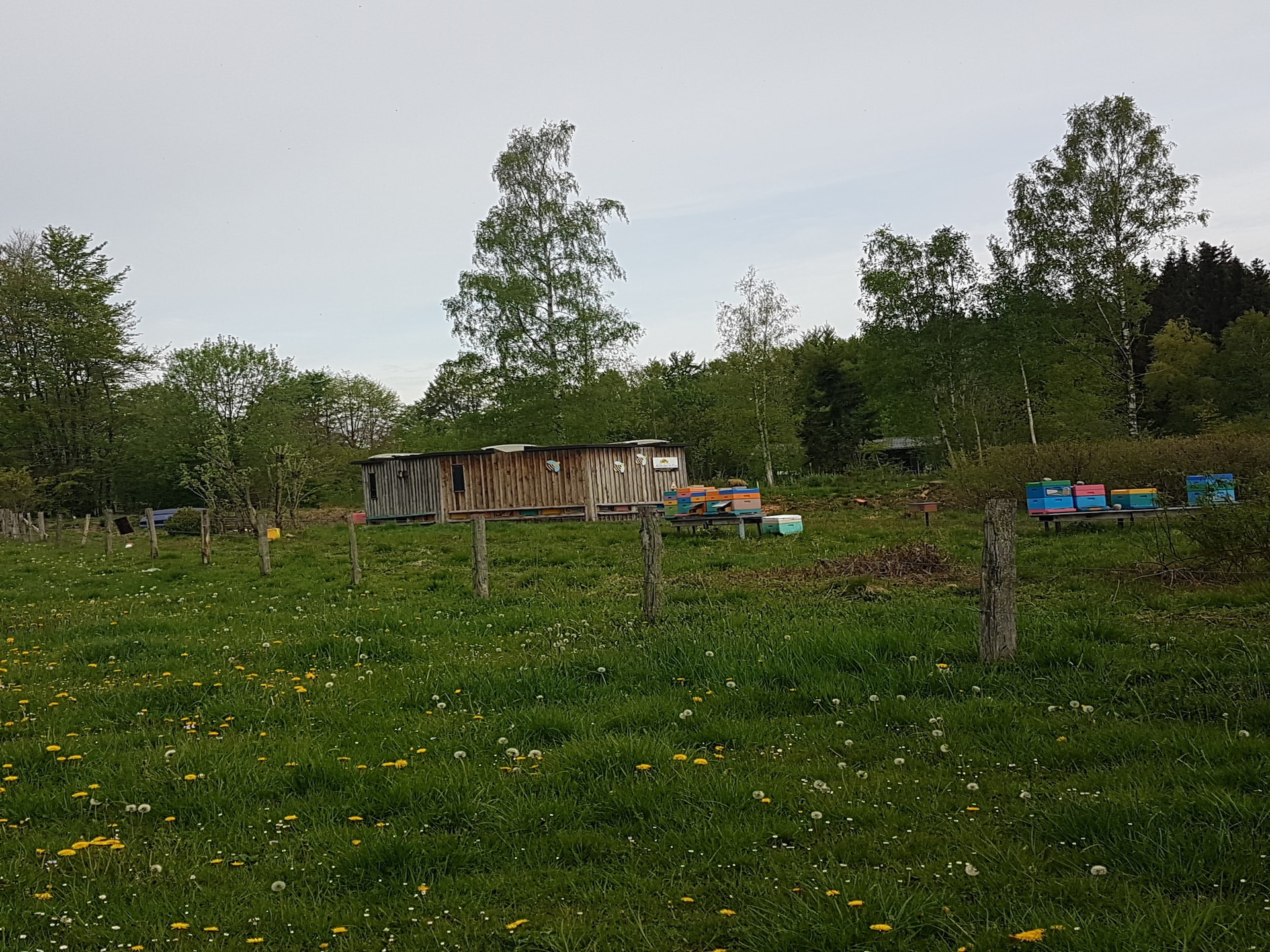 Op 400 m van de piste: knus 2-persoons chalet in Waimes - Sourbrodt - foto 17